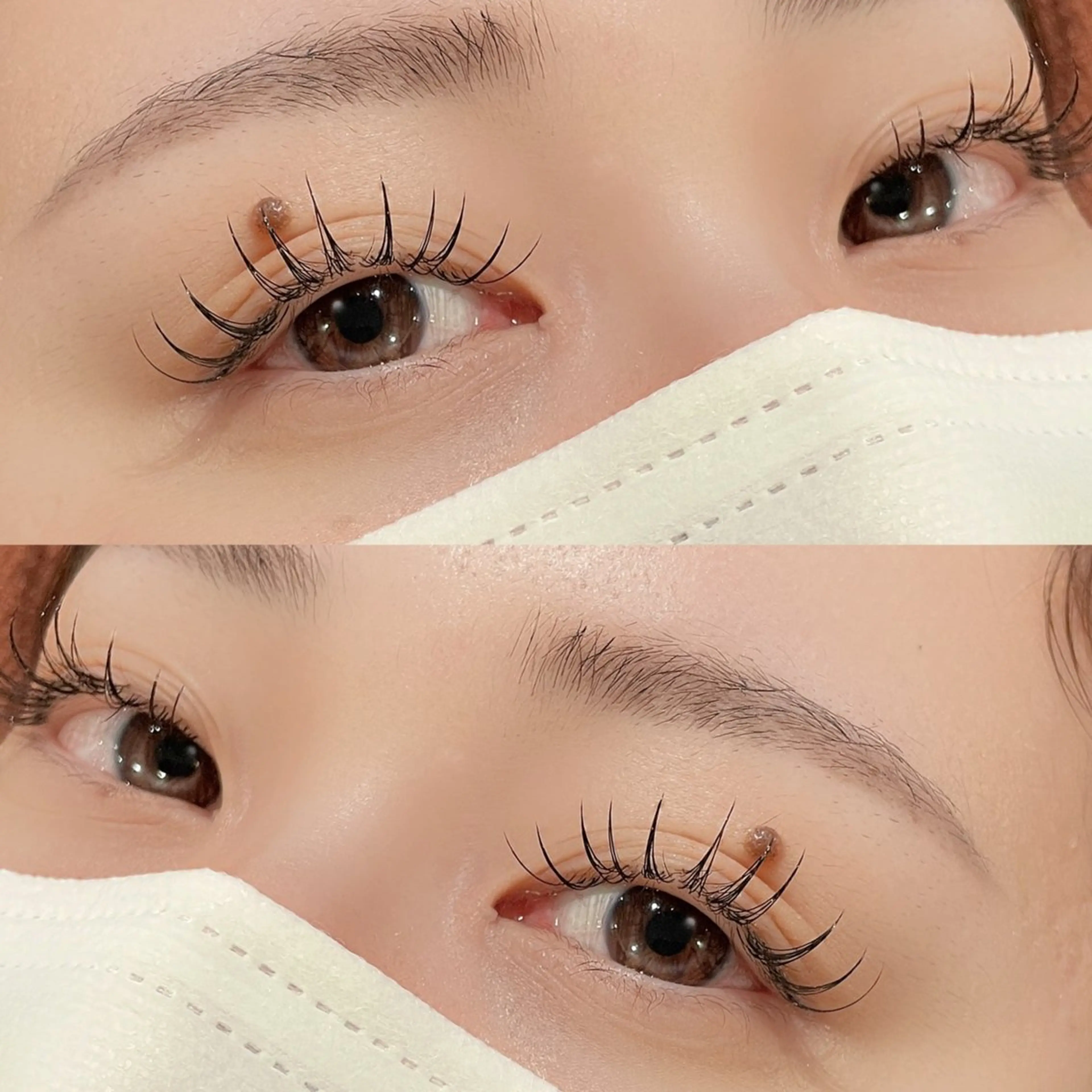 持ち強化🌷束感バインドロック140本（70束）🌷オフ込の写真