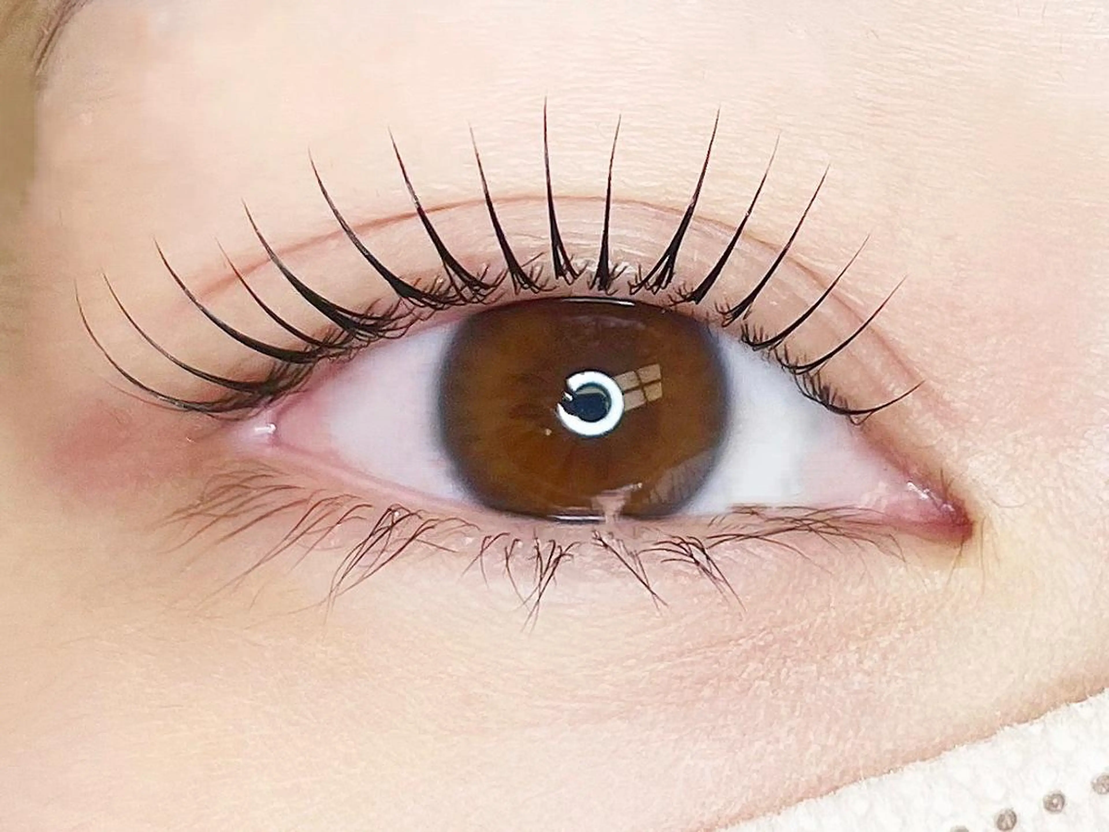 マツエク・マツパ mignon niinaのマツエク・マツパデザイン