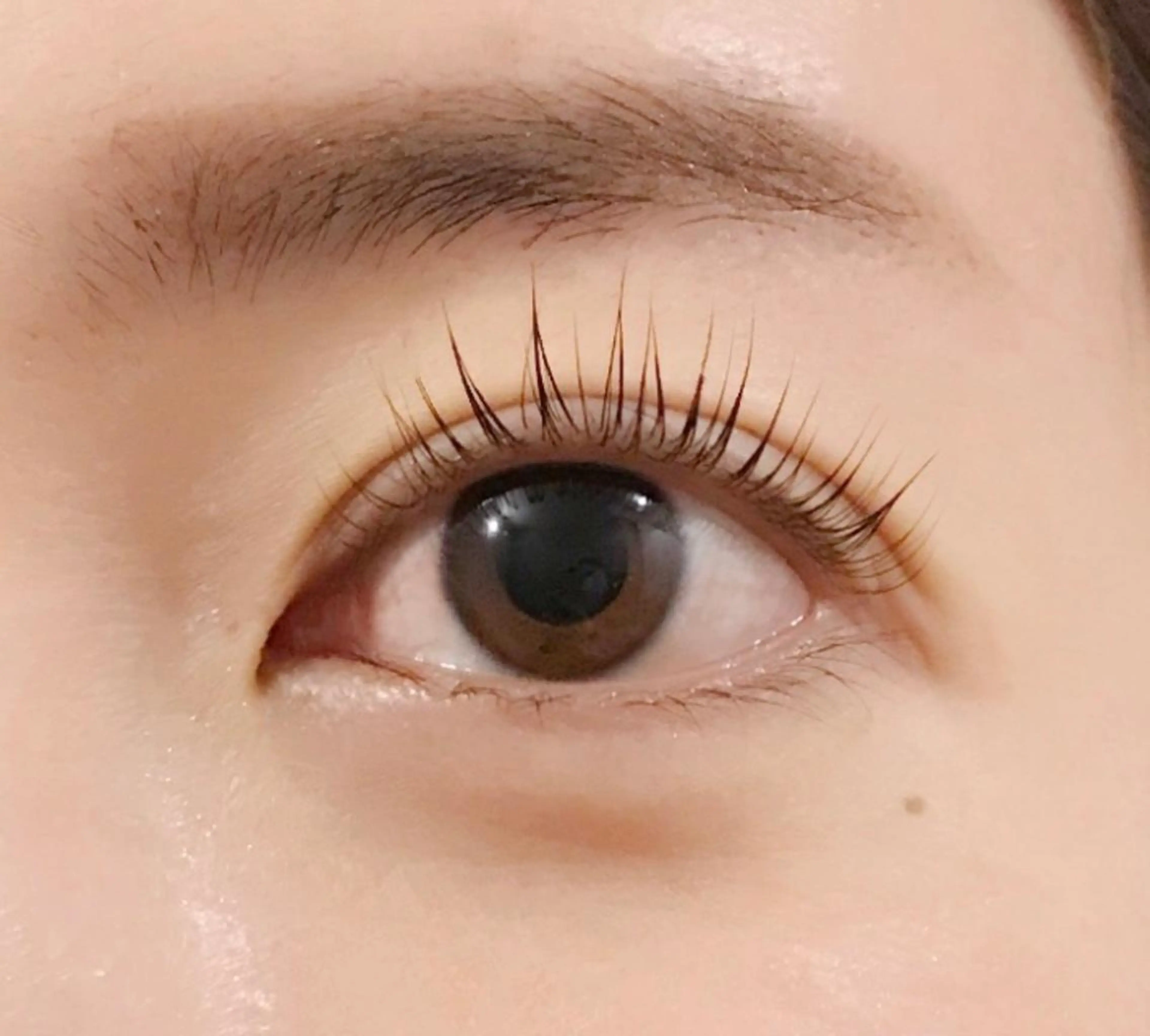 マツエク・マツパ マツパ R ROOM ramuのマツエク・マツパデザイン