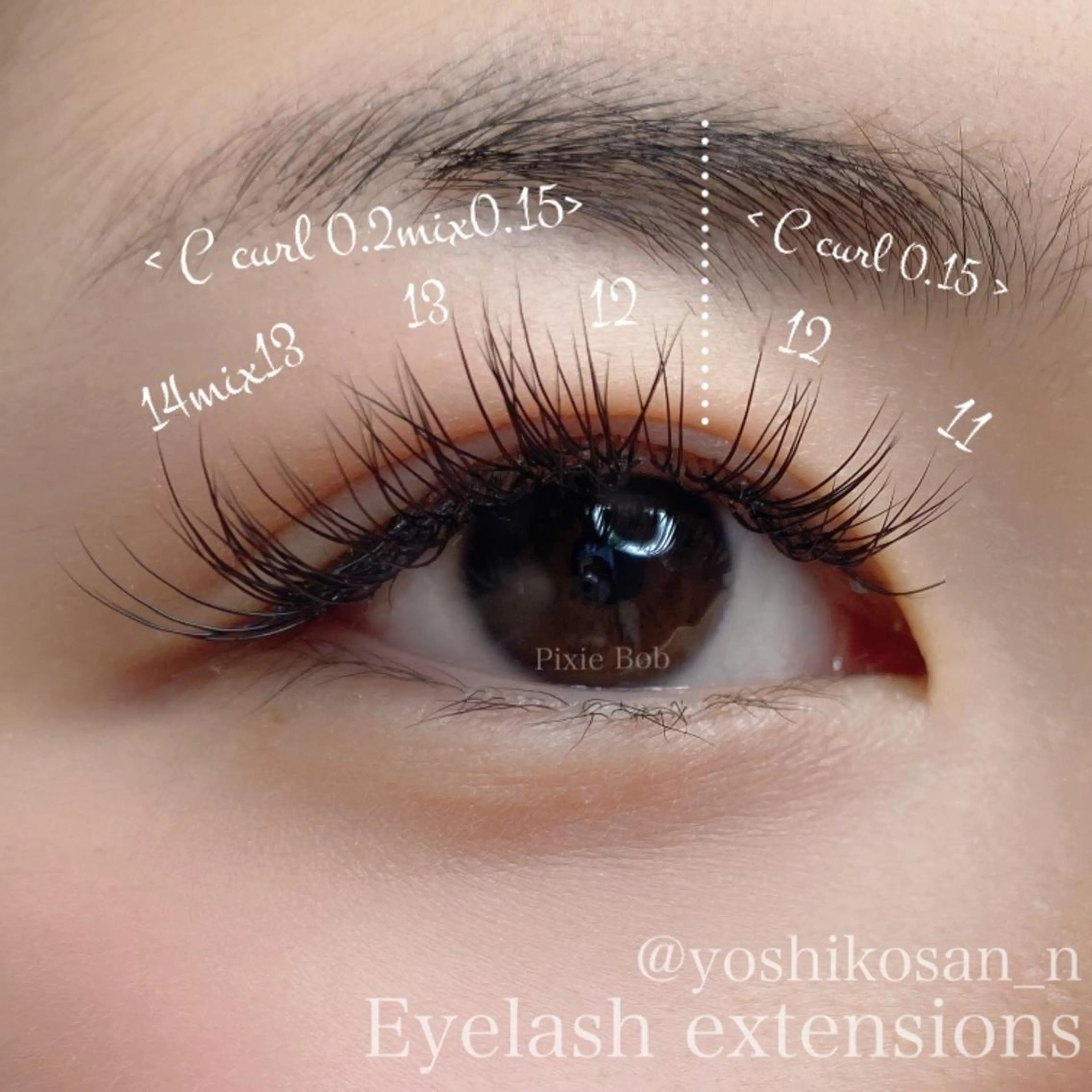 マツエク・マツパ マツエク Pixie Bob 🐈‍⬛　位田のマツエク・マツパデザイン