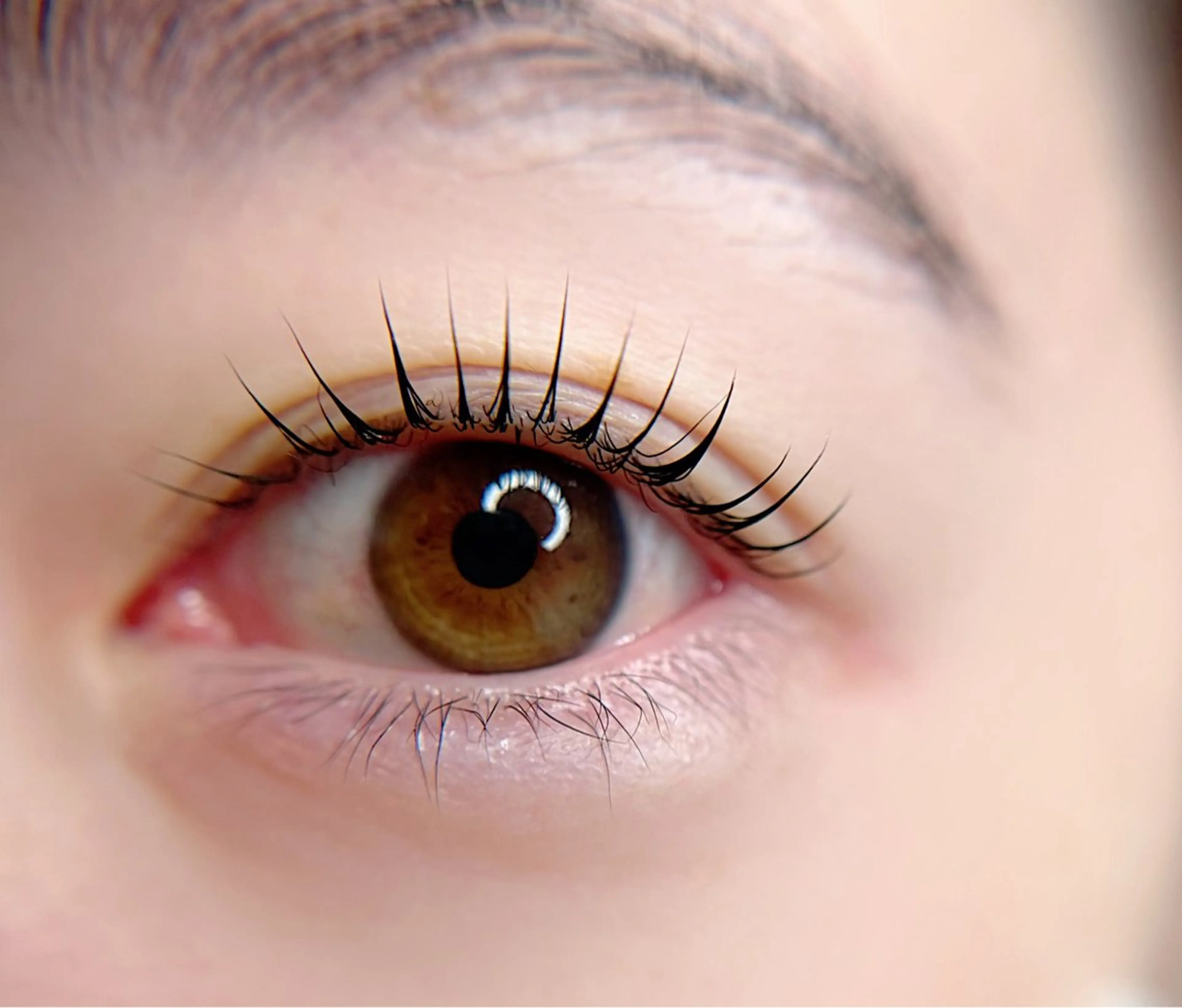 マツエク・マツパ Citrine eyelash ✿のマツエク・マツパデザイン