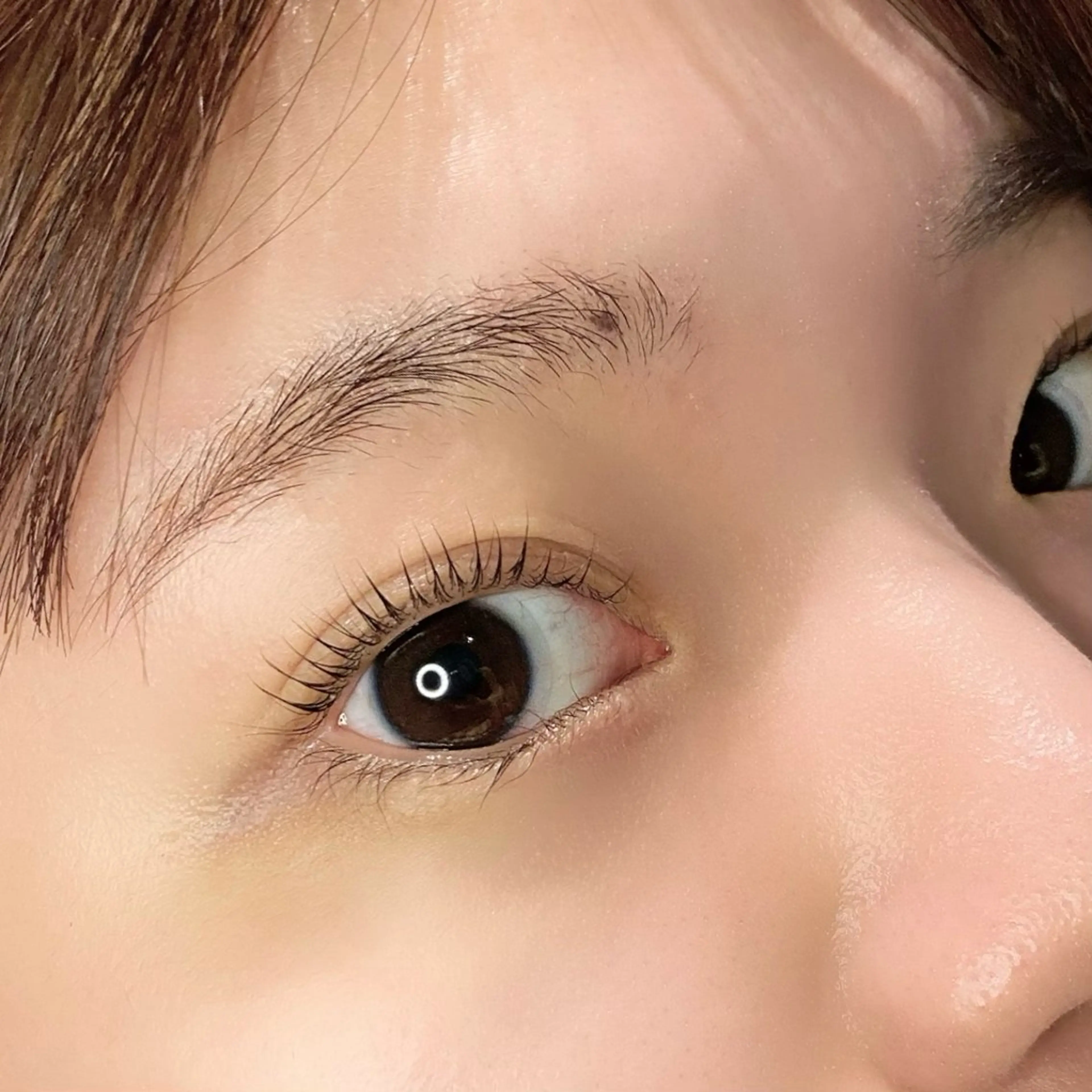 マツエク・マツパ マツパ ɴᴇʀᴏʟɪ ♡ ᴀʏᴀᴋᴀの眉毛・アイブロウイメージ