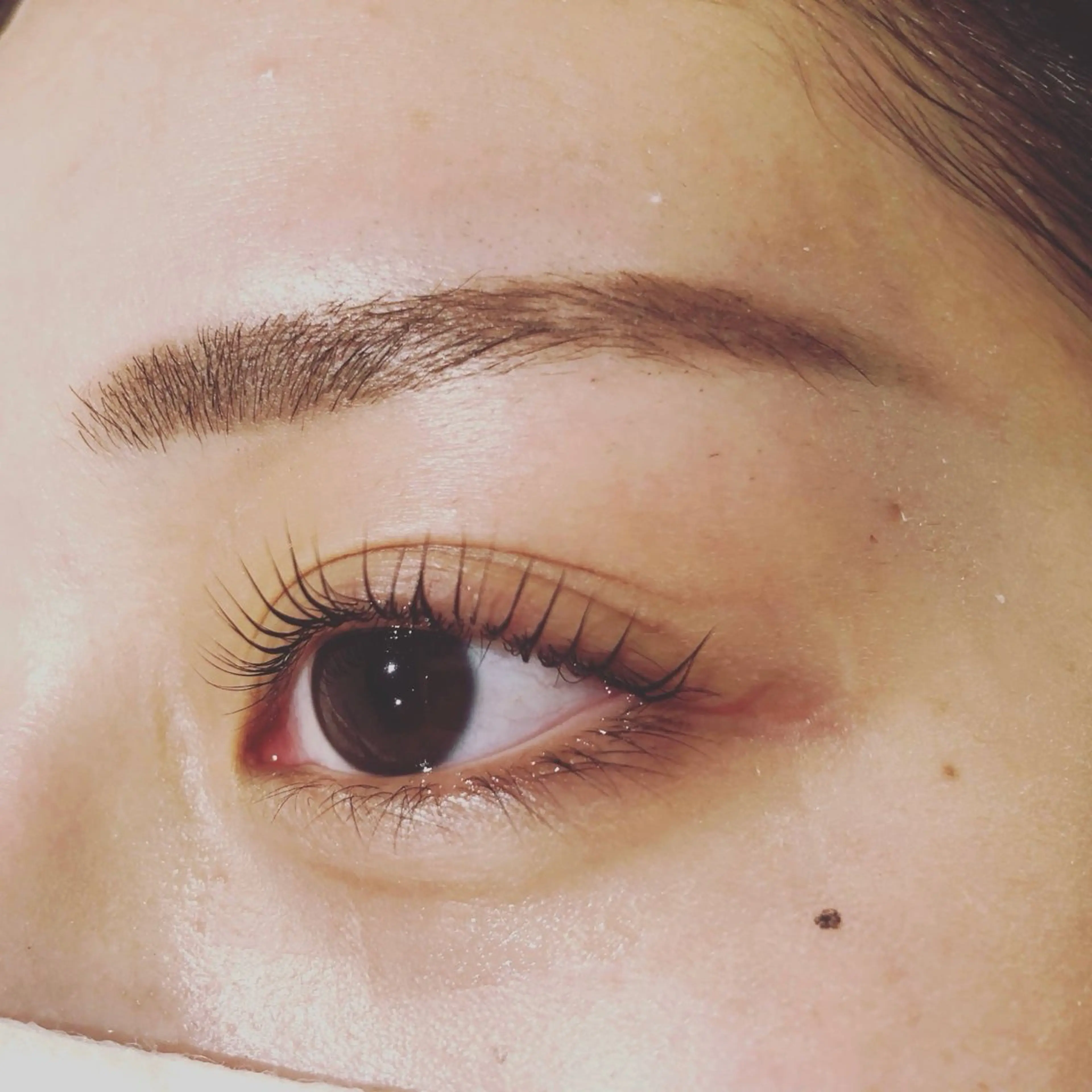 マツエク・マツパ 似合わせ眉/まつげ aicoの眉毛・アイブロウイメージ