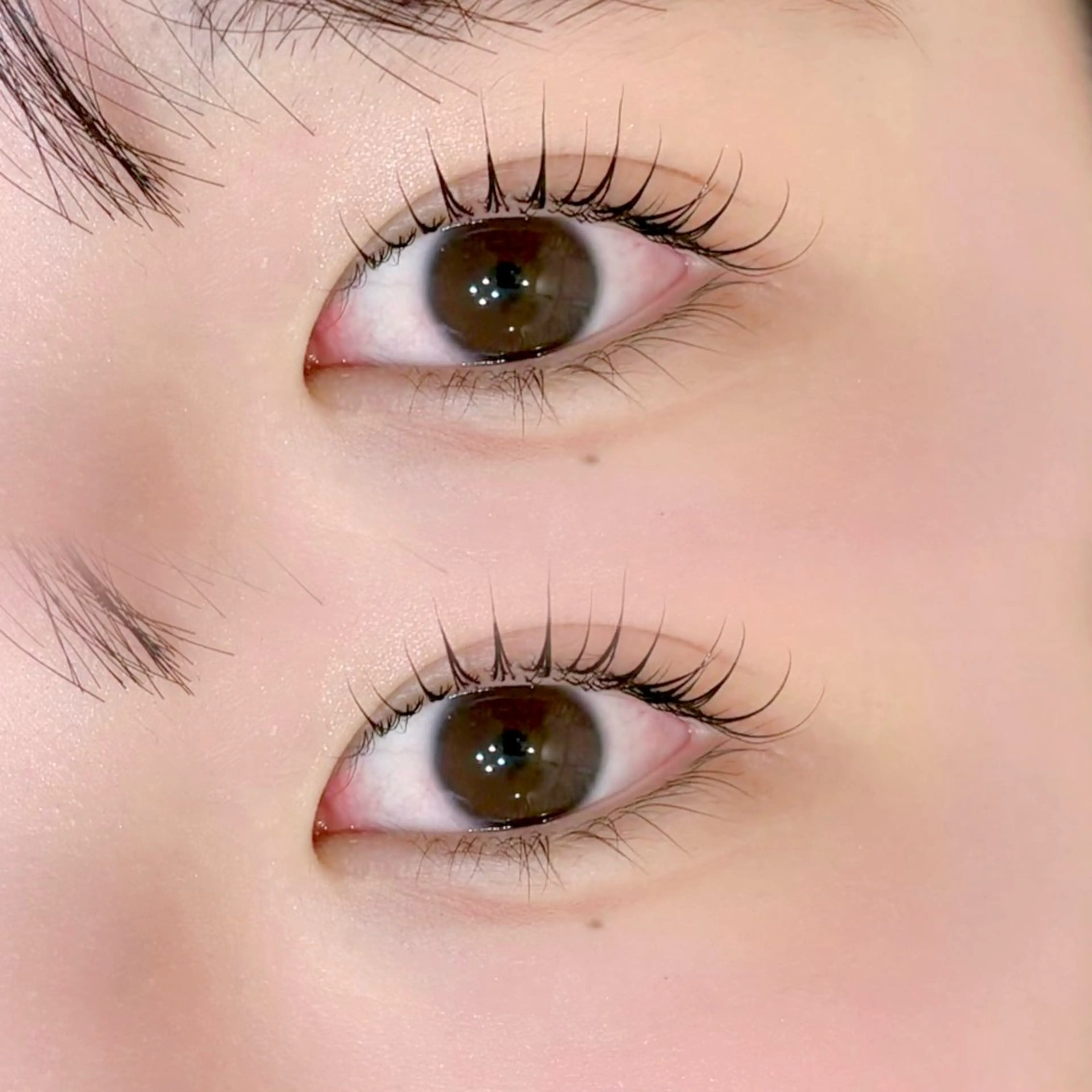 マツエク・マツパ マツパ 22+2 V1Let,s Eyebrow&Eye所属・v1Let,s cocoroのマツエク・マツパデザイン