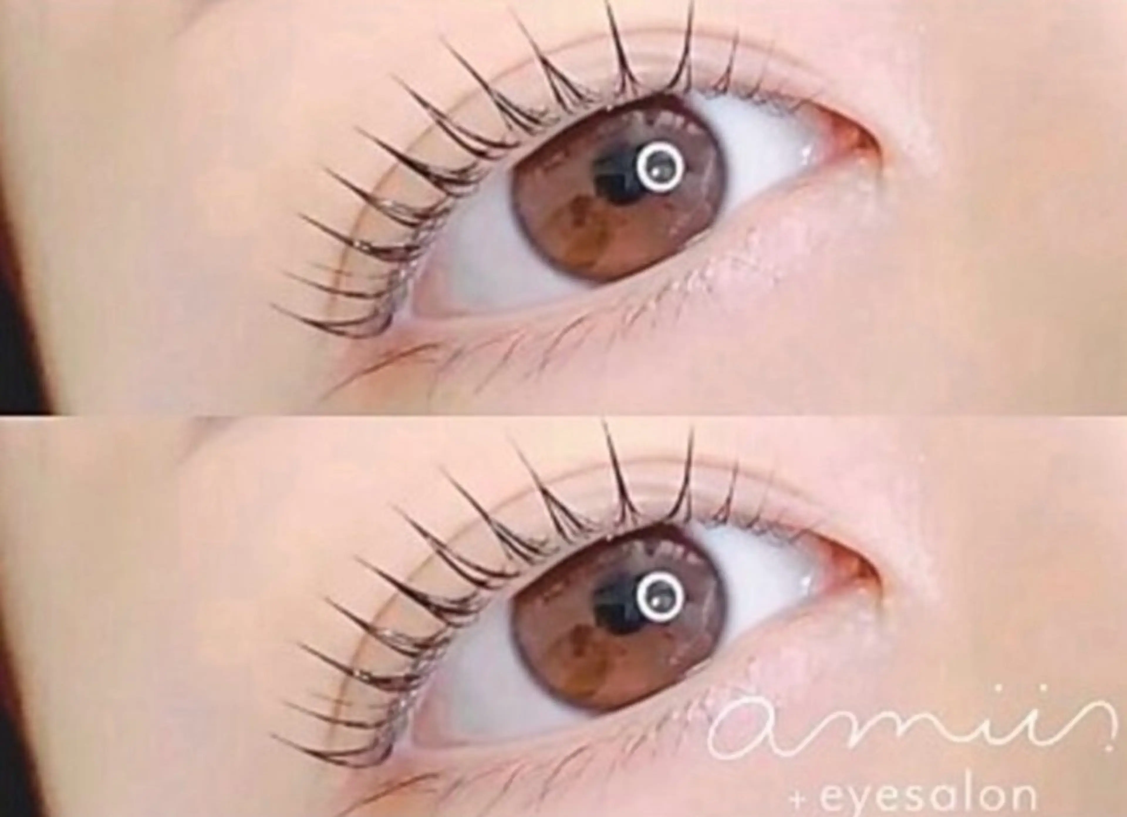 【オフなしの方限定】パリジェンヌラッシュリフトorまつげパーマ🌼🌿の写真