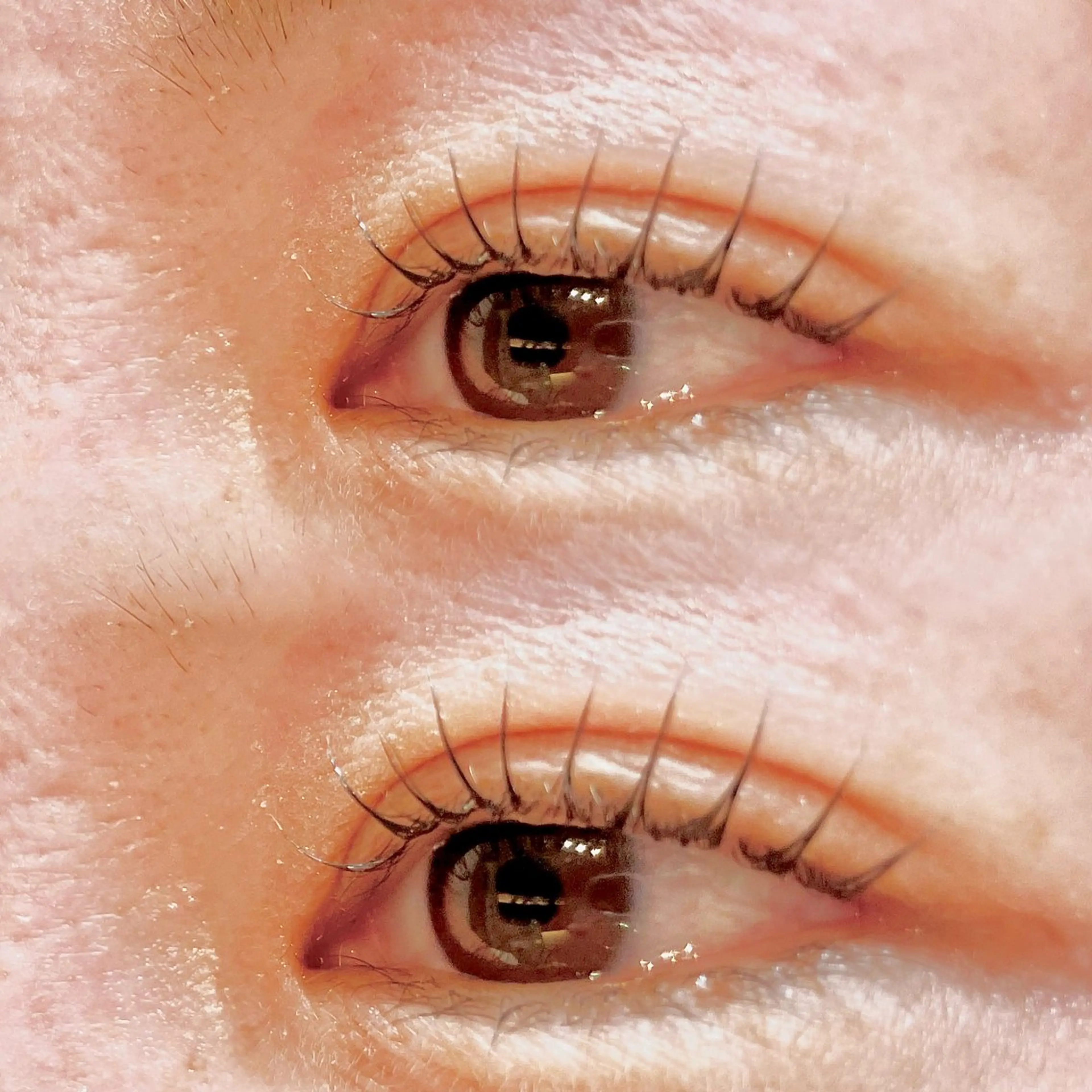 マツエク・マツパ 新小岩まつ毛眉毛 BelkaLashの眉毛・アイブロウイメージ