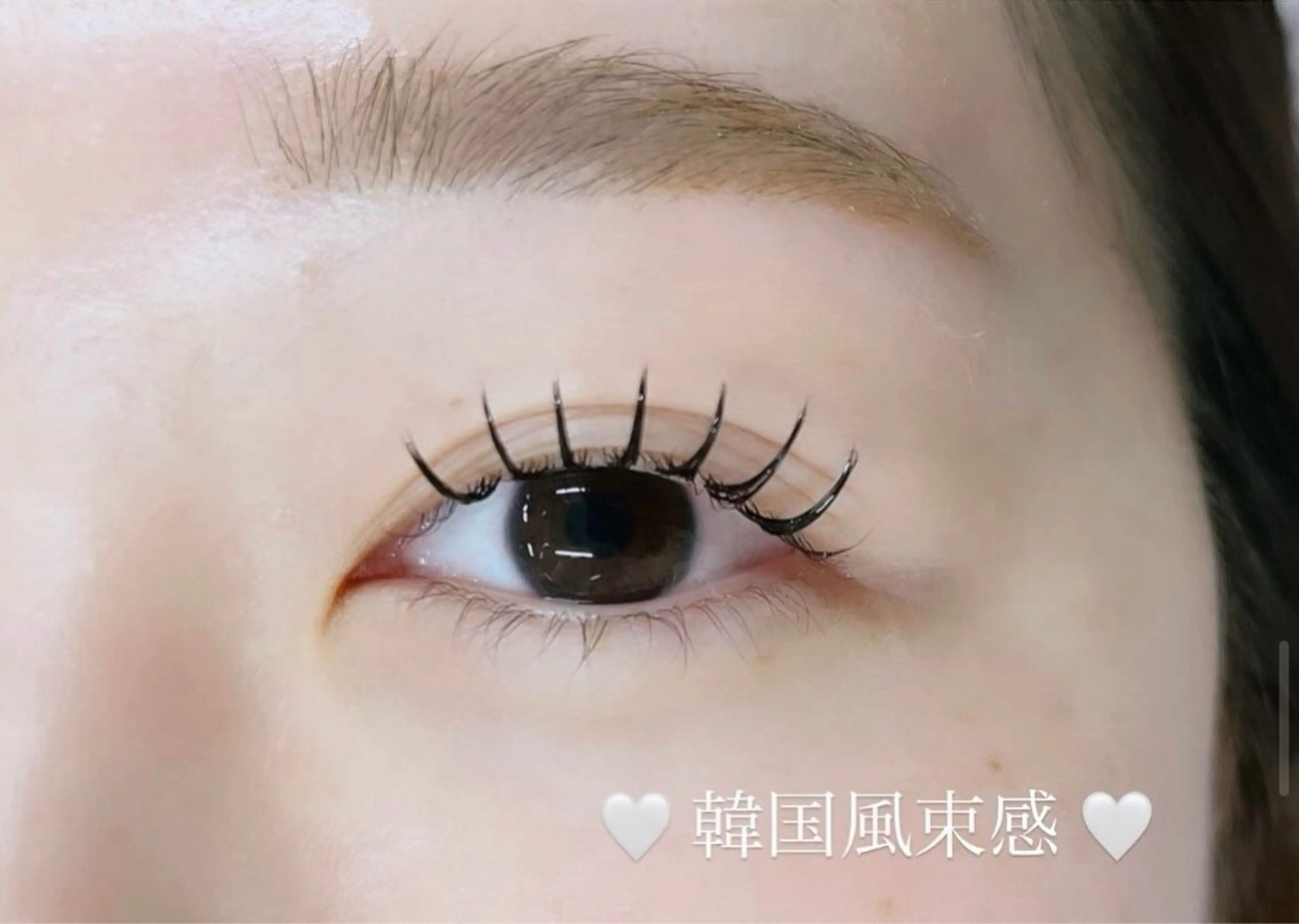 マツエク・マツパ Shucre名駅🖤 MOMOKAの眉毛・アイブロウイメージ