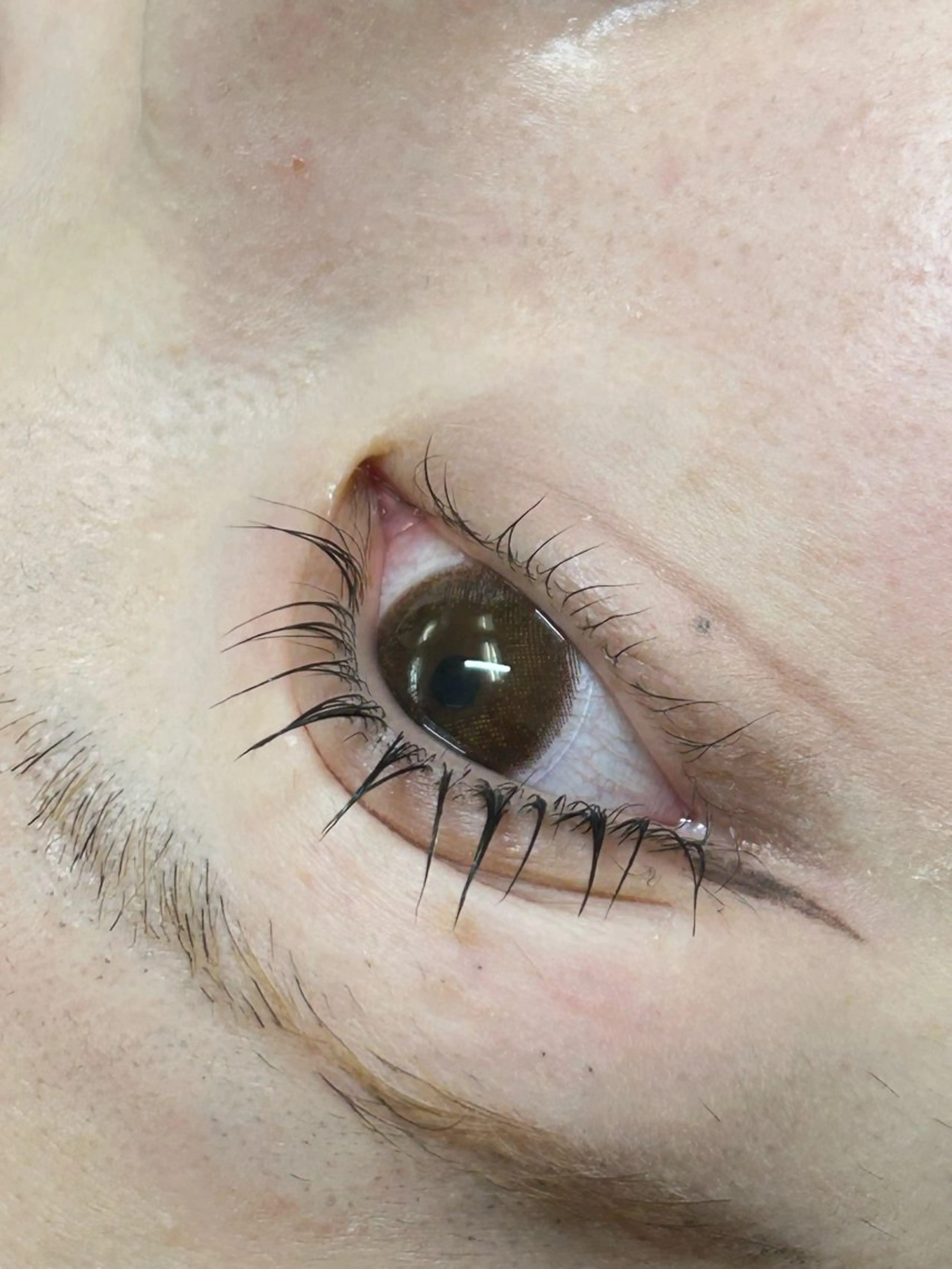 上下まつげパーマ🍯⚠️21時以降➕1000円⚠️の写真