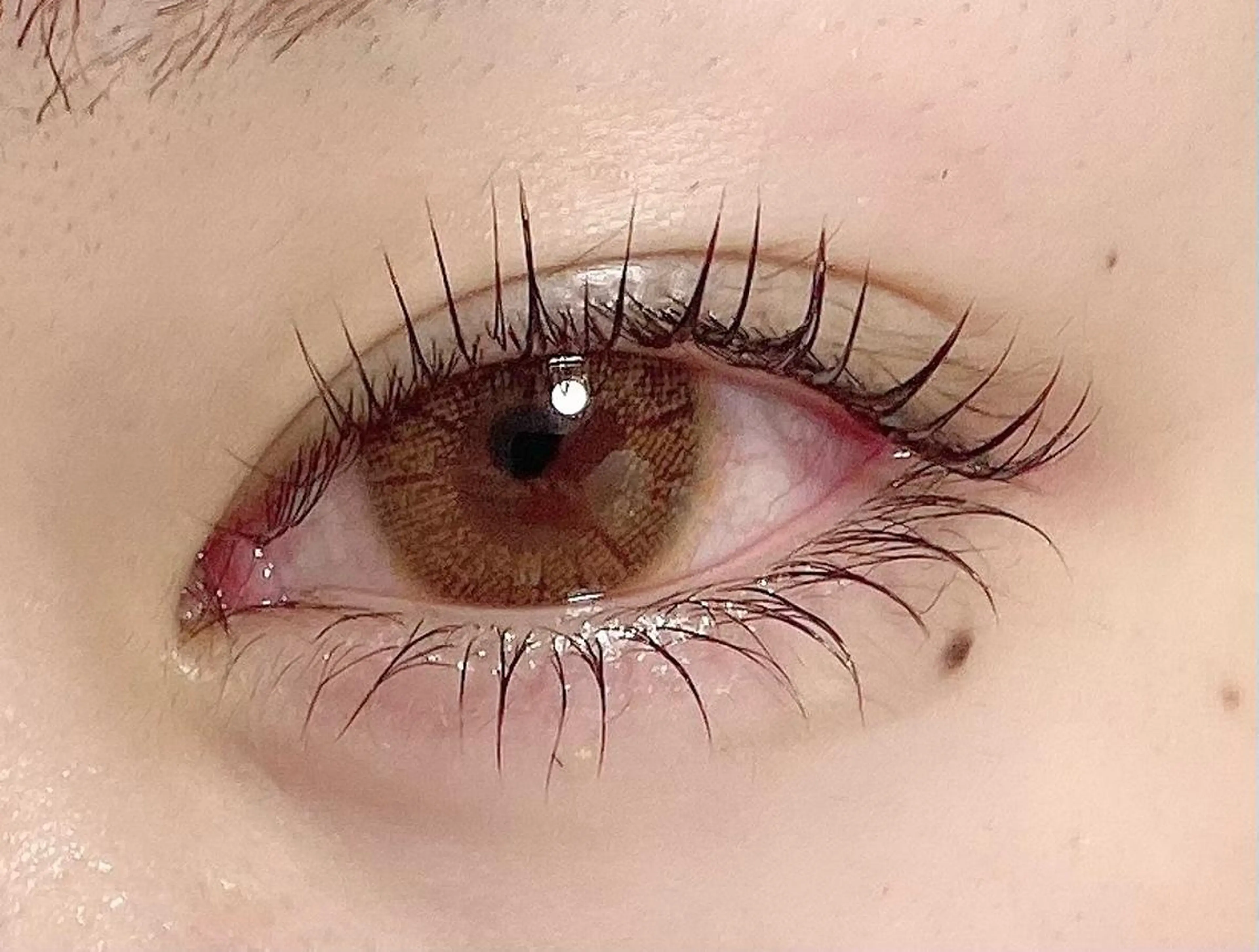 マツエク・マツパ マツパ 【那覇/束感まつ毛 /LED】ｷｬﾒﾙのマツエク・マツパデザイン