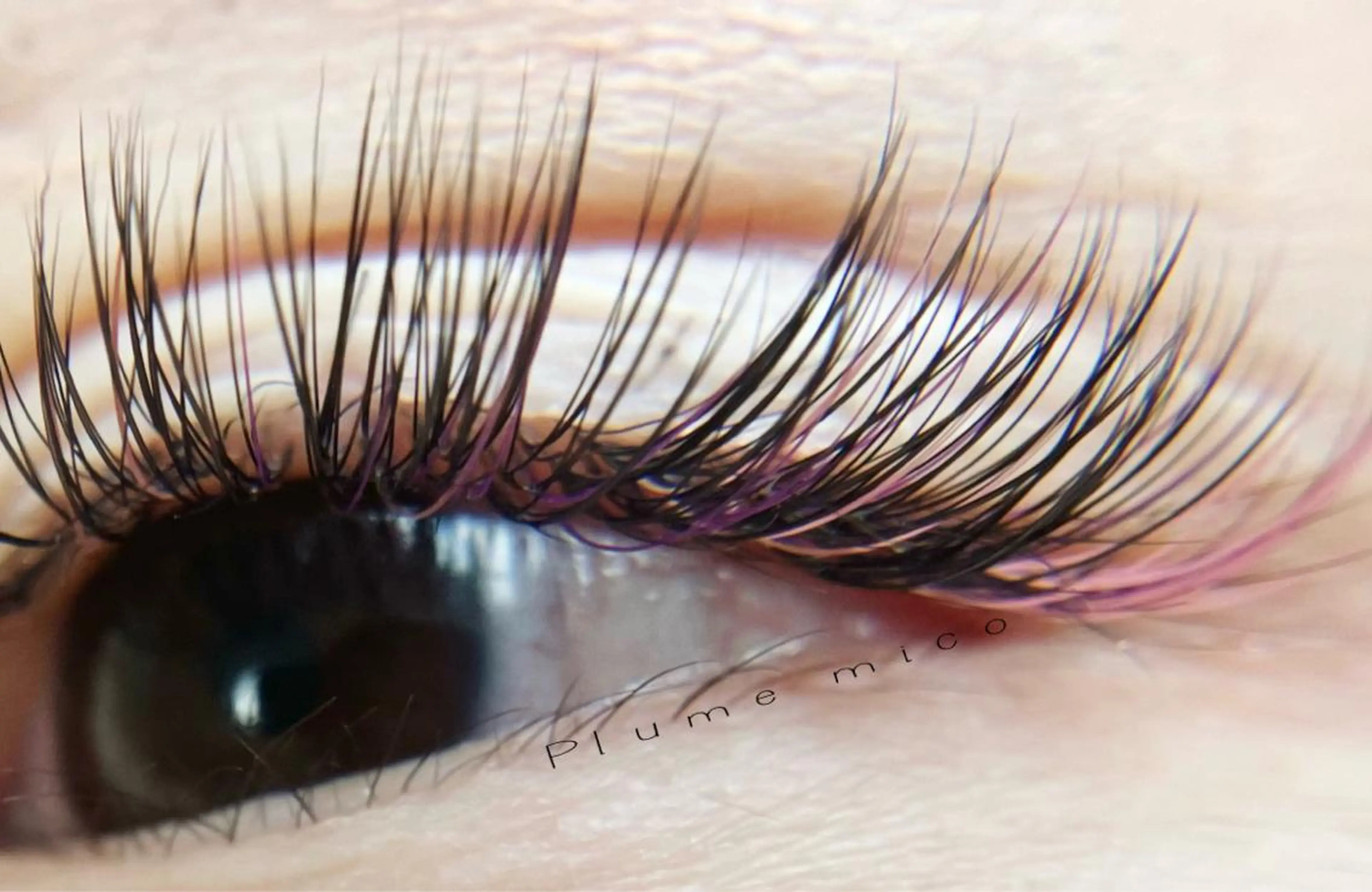 マツエク・マツパ マツエク Plume micoのマツエク・マツパデザイン