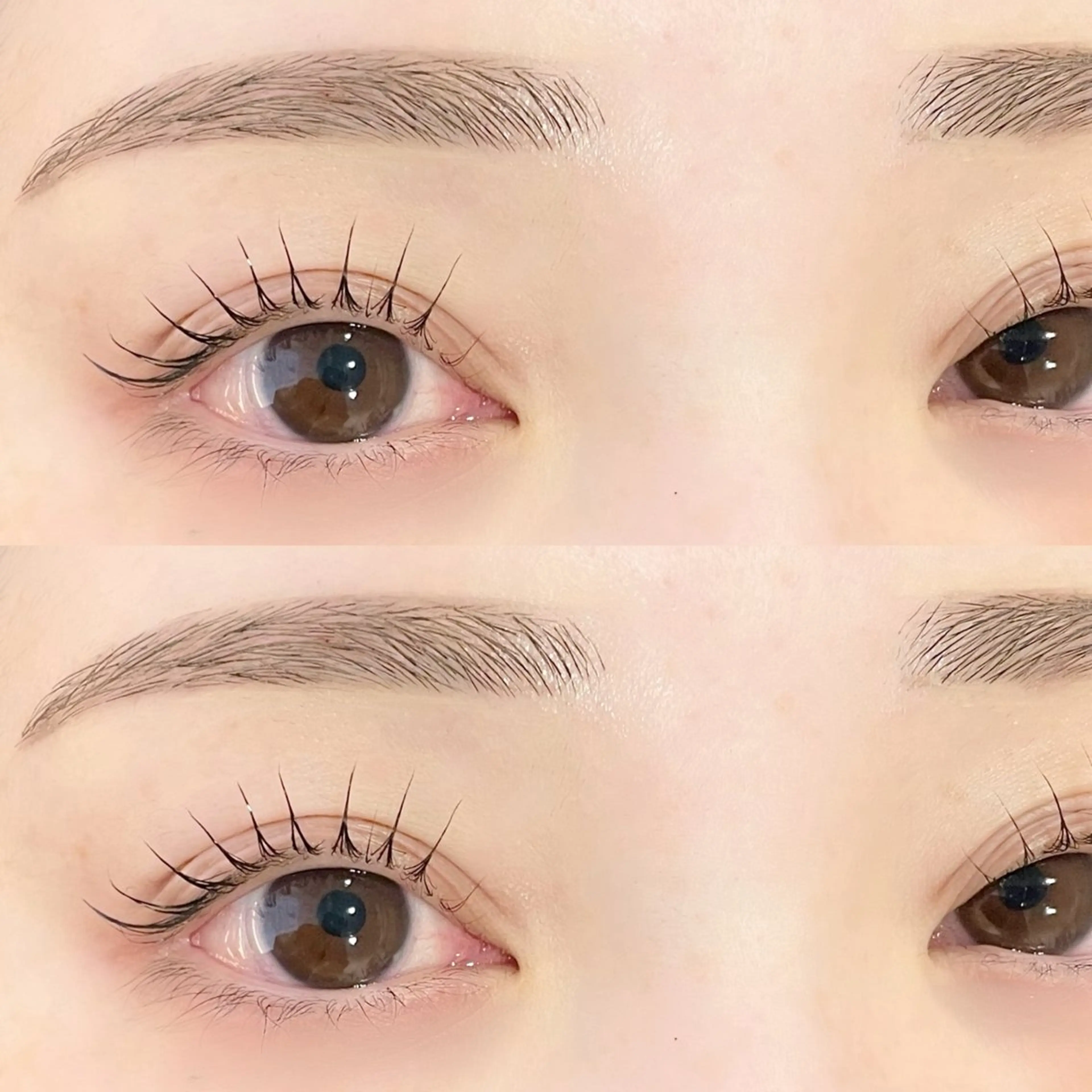 マツエク・マツパ chouchou 柏東口🫧🪽 橋本のマツエク・マツパデザイン