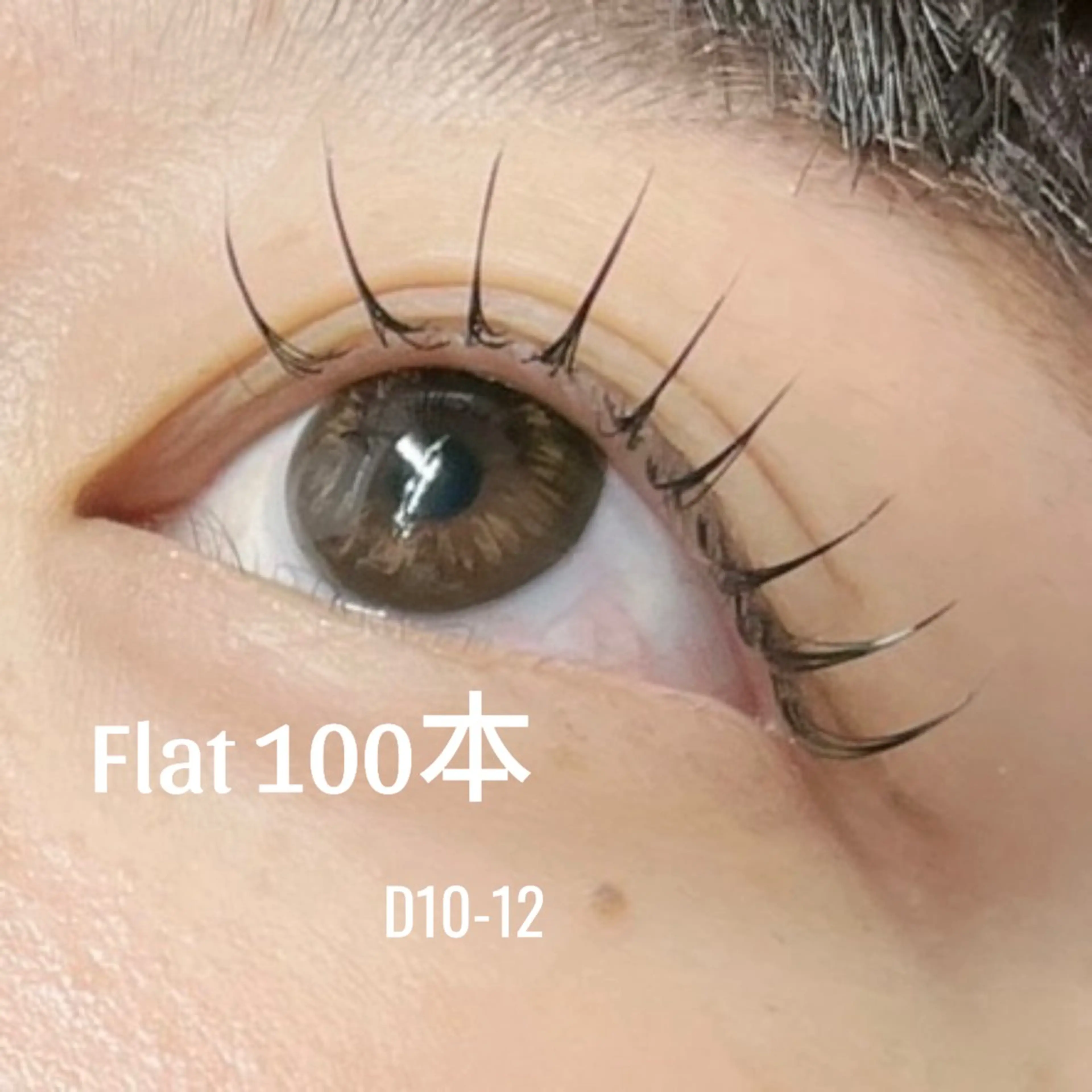 再来様✨束感フラット100本の写真