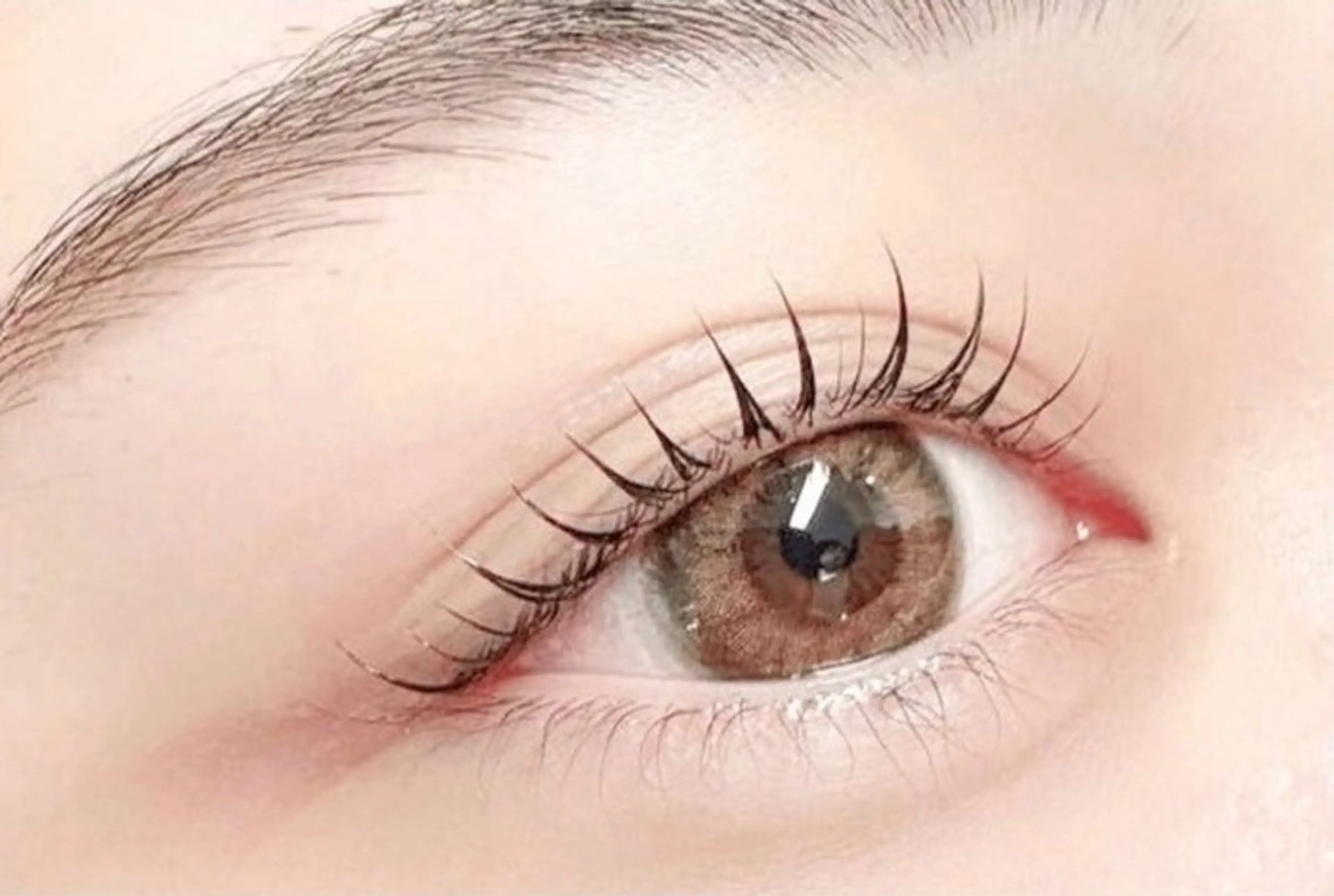 ✨️下マツエク40本✨️の写真