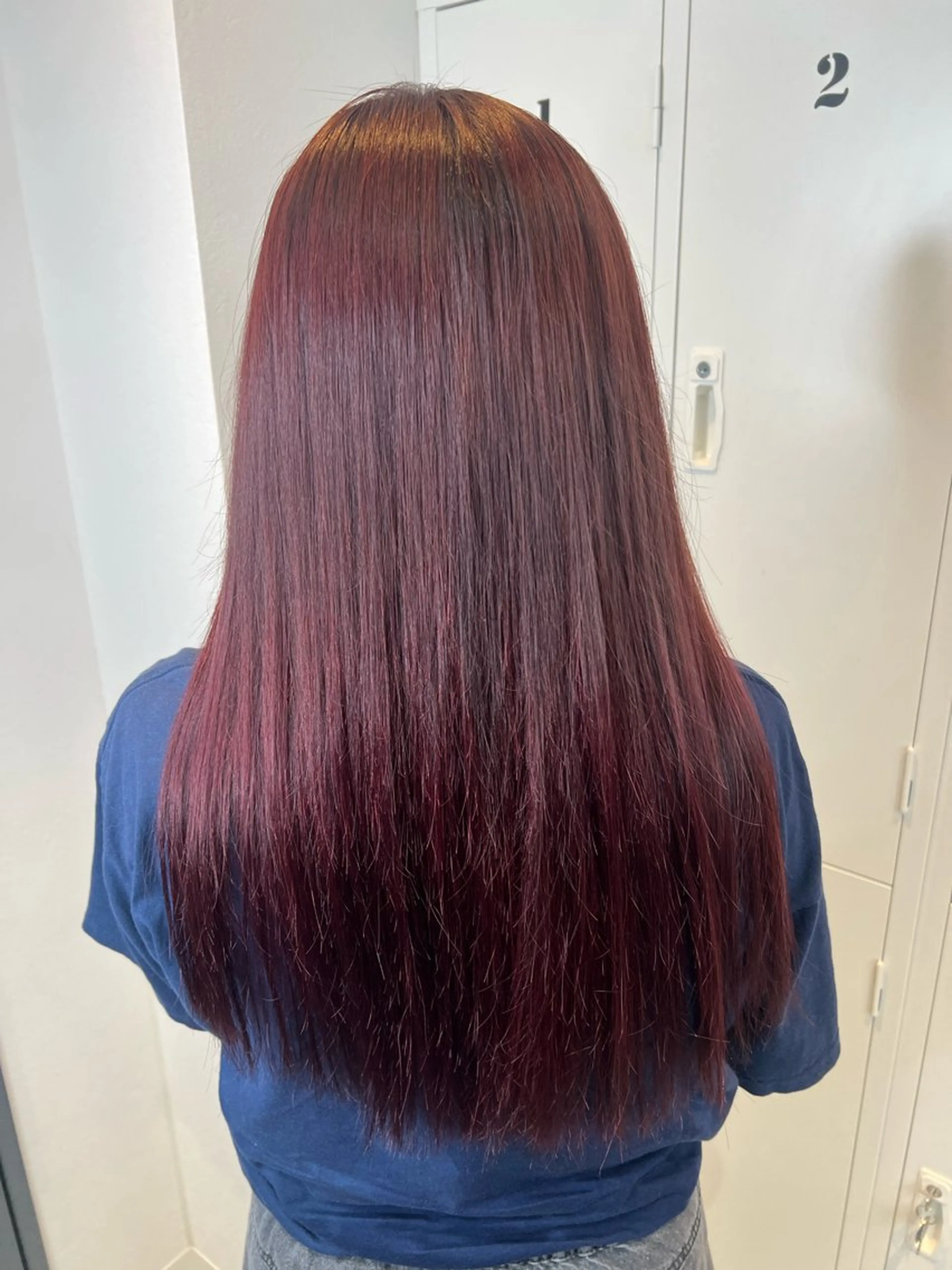 ロング カラー 透明感カラー ピンクカラー レッドカラー ショート/ウルフ カットモデル募集のヘアスタイル