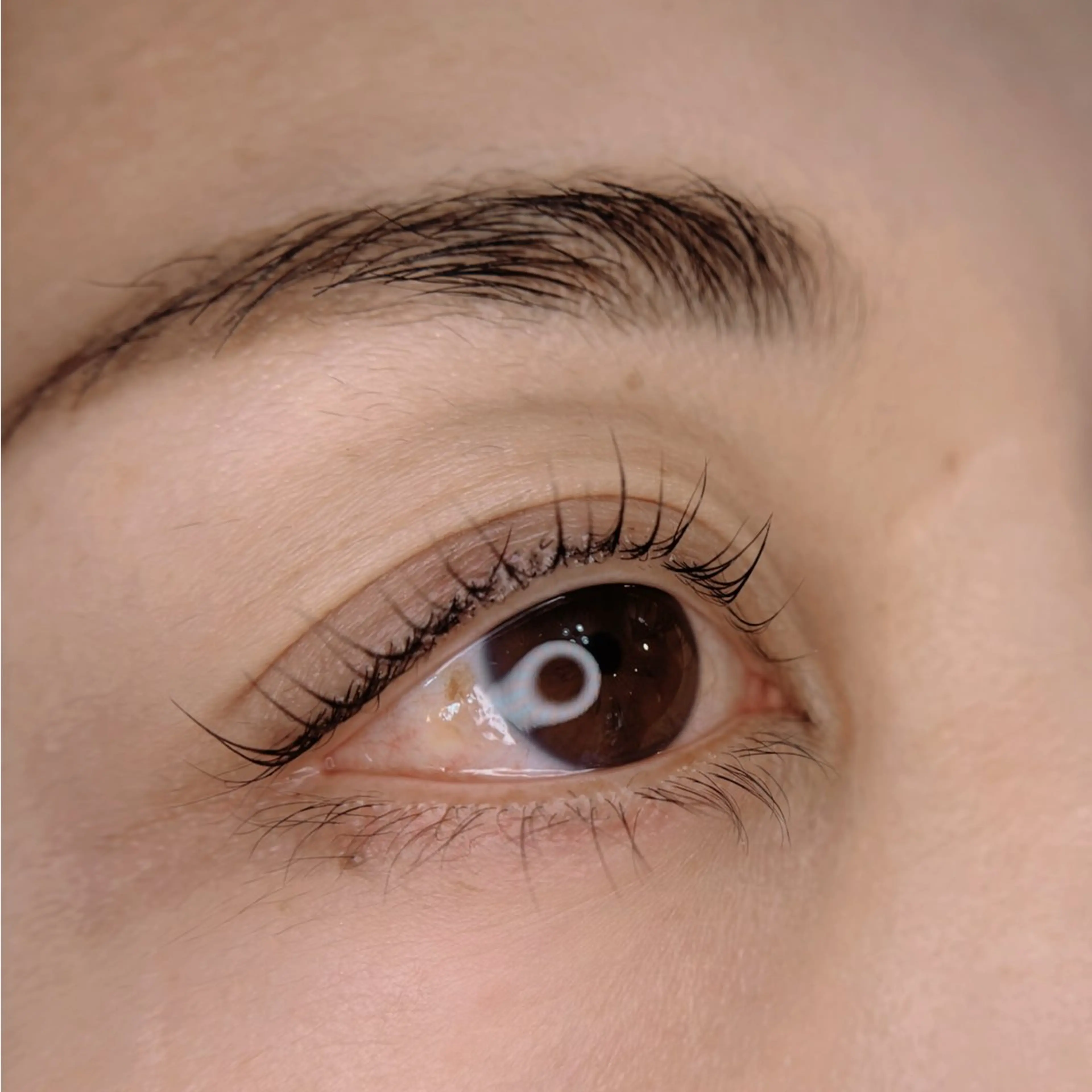 マツエク・マツパ Sakurai Satomiのマツエク・マツパデザイン