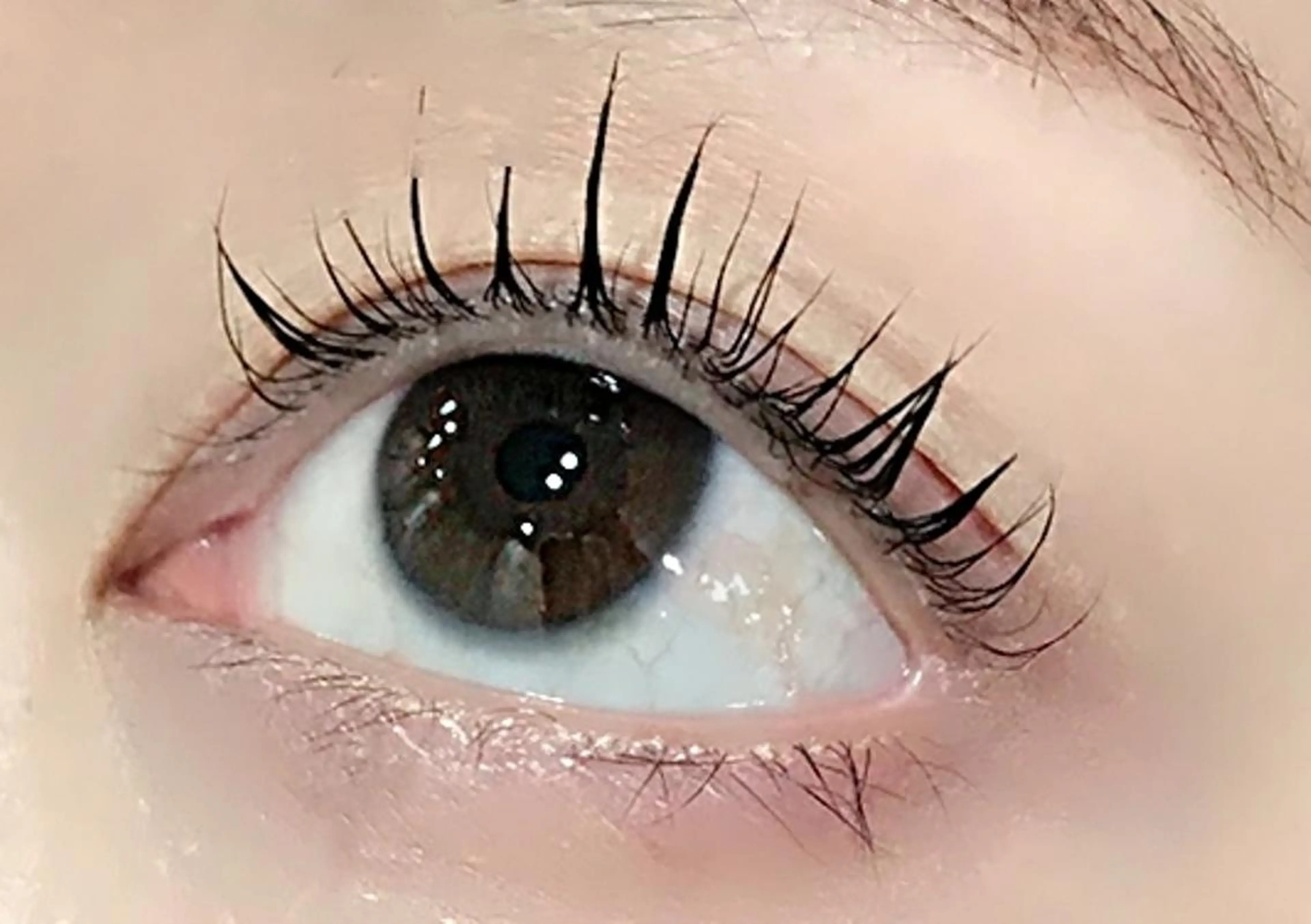 ãããšã¯ã»ããã ðåœæ¥ãOKð ð³ðŒðµðšè±äºã®ãã€ã«ãã¶ã€ã³