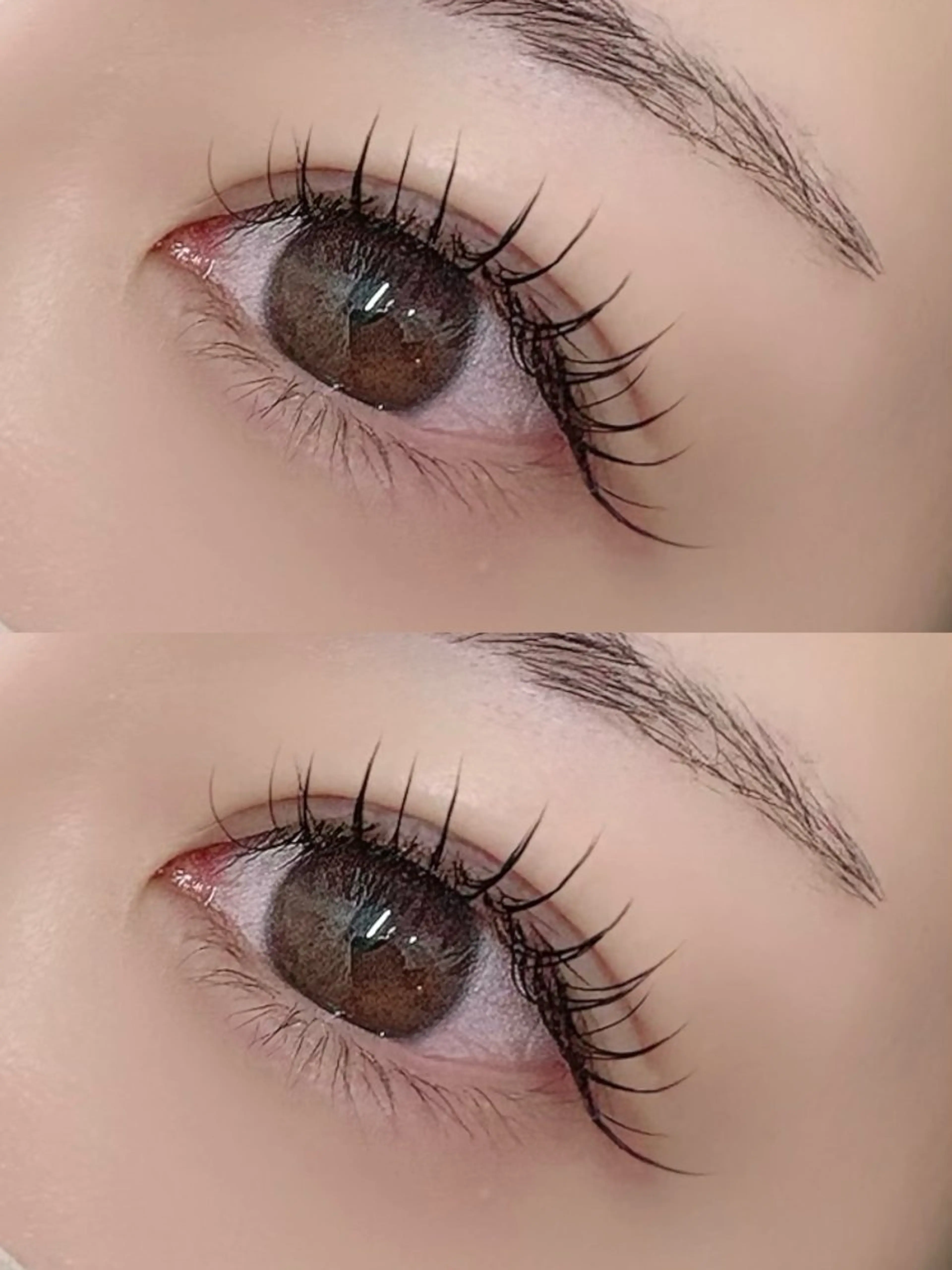 🦋LED エクステ　100本🦋の写真