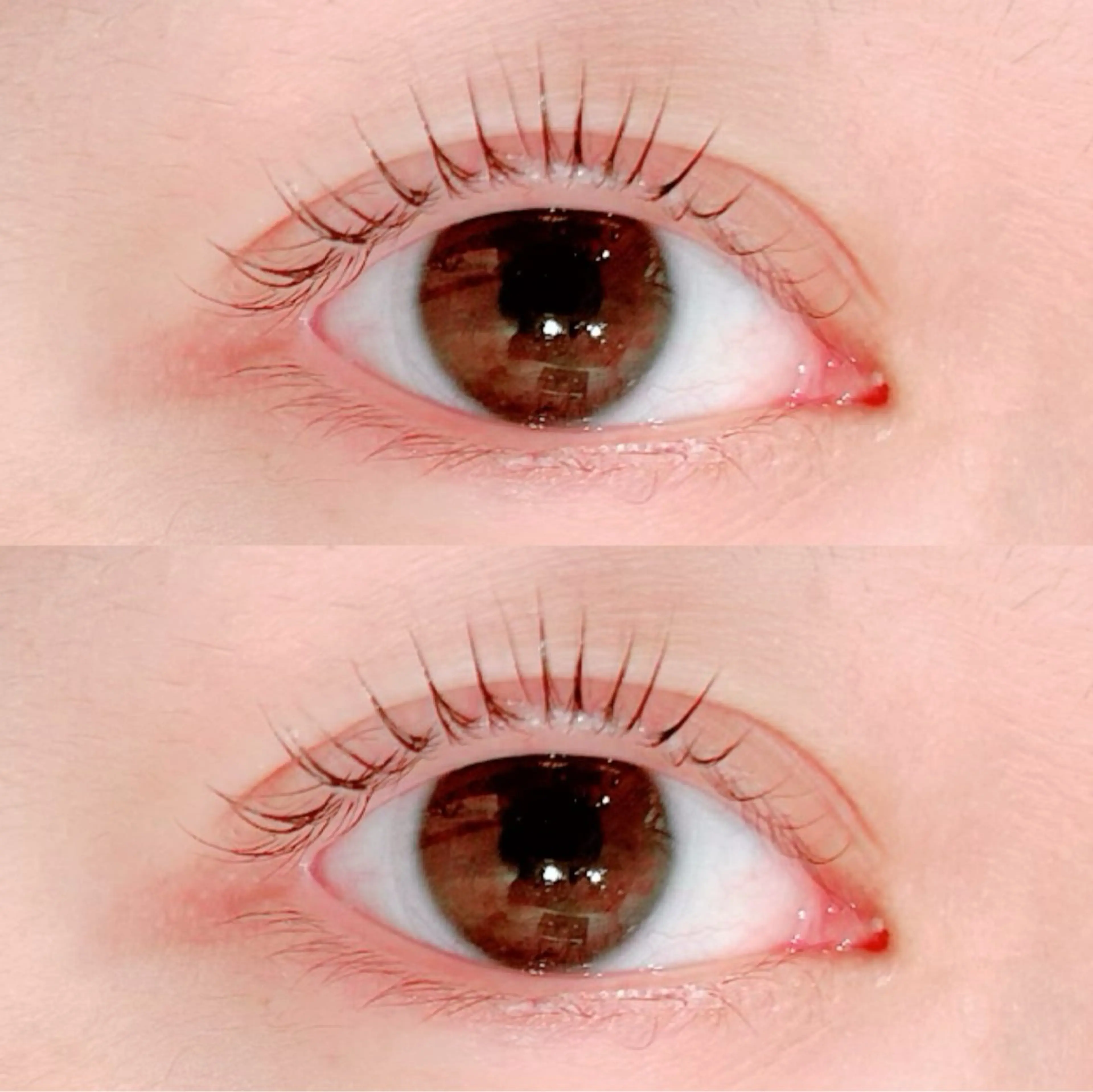 マツエク・マツパ LaBless あべのキューズサロン所属・艶カラー/あいか💜 天王寺阿倍野のマツエク・マツパデザイン