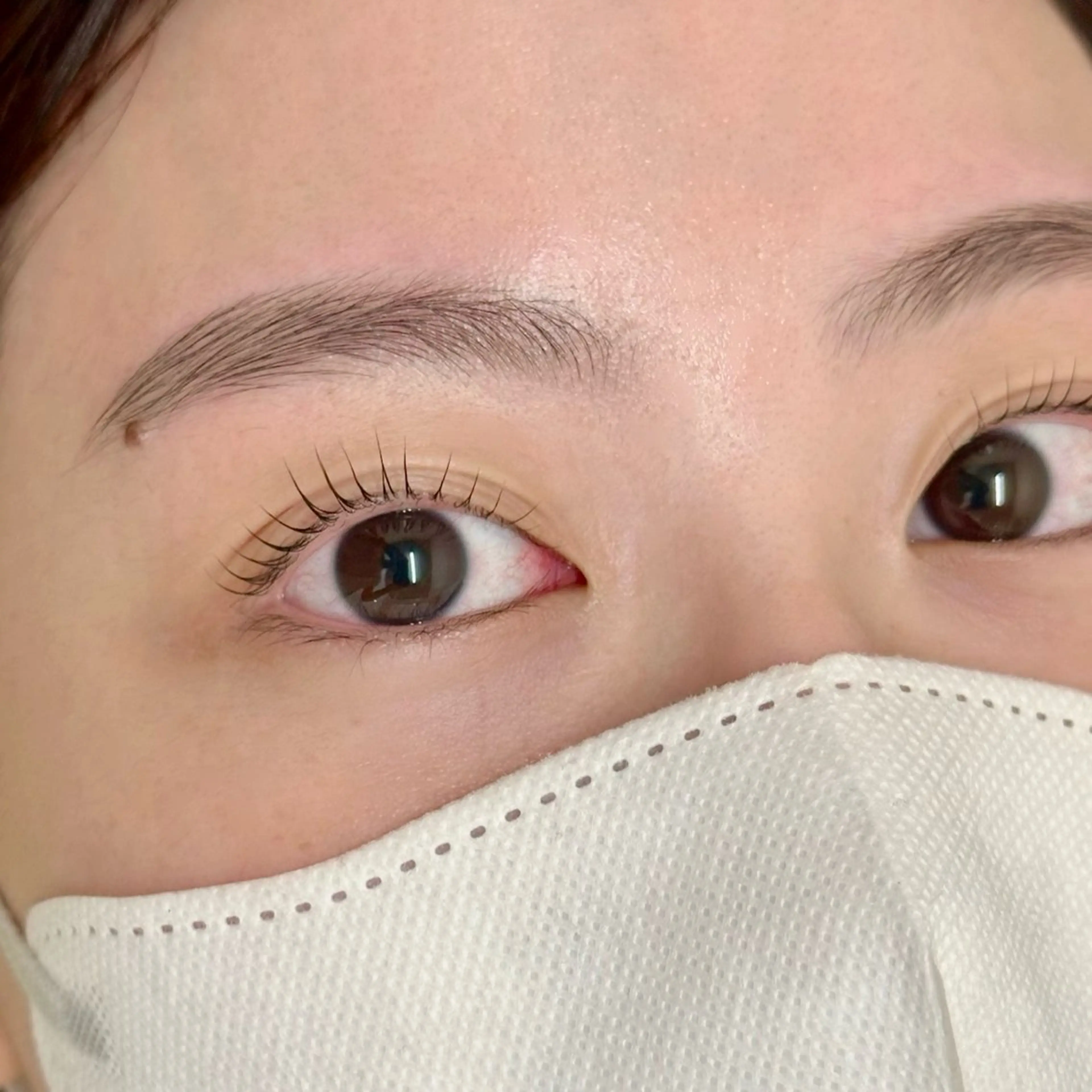 アイブロウスタイリング&まつ毛パーマの写真