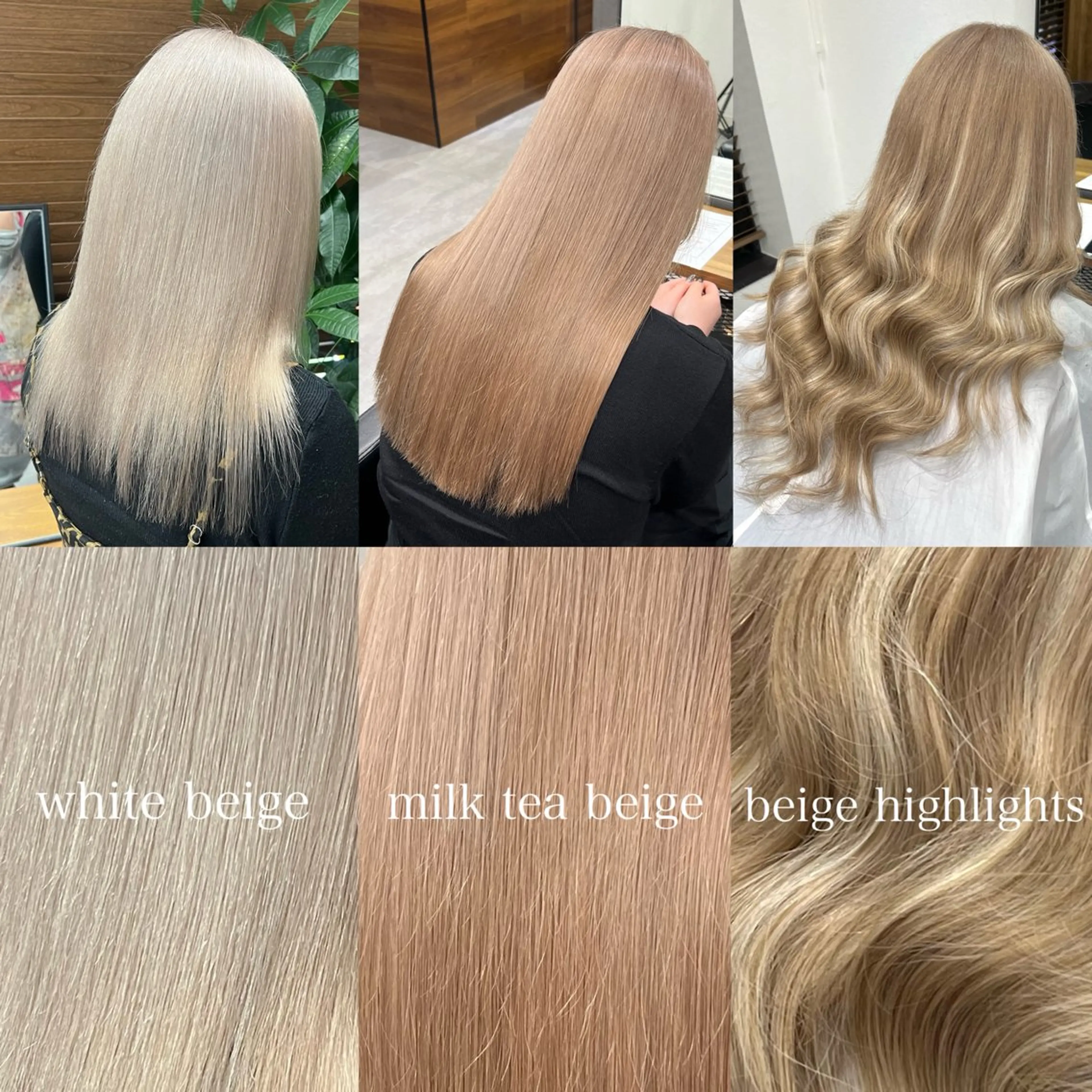 セミロング カラー ショート/ウルフ カットモデル募集のヘアスタイル