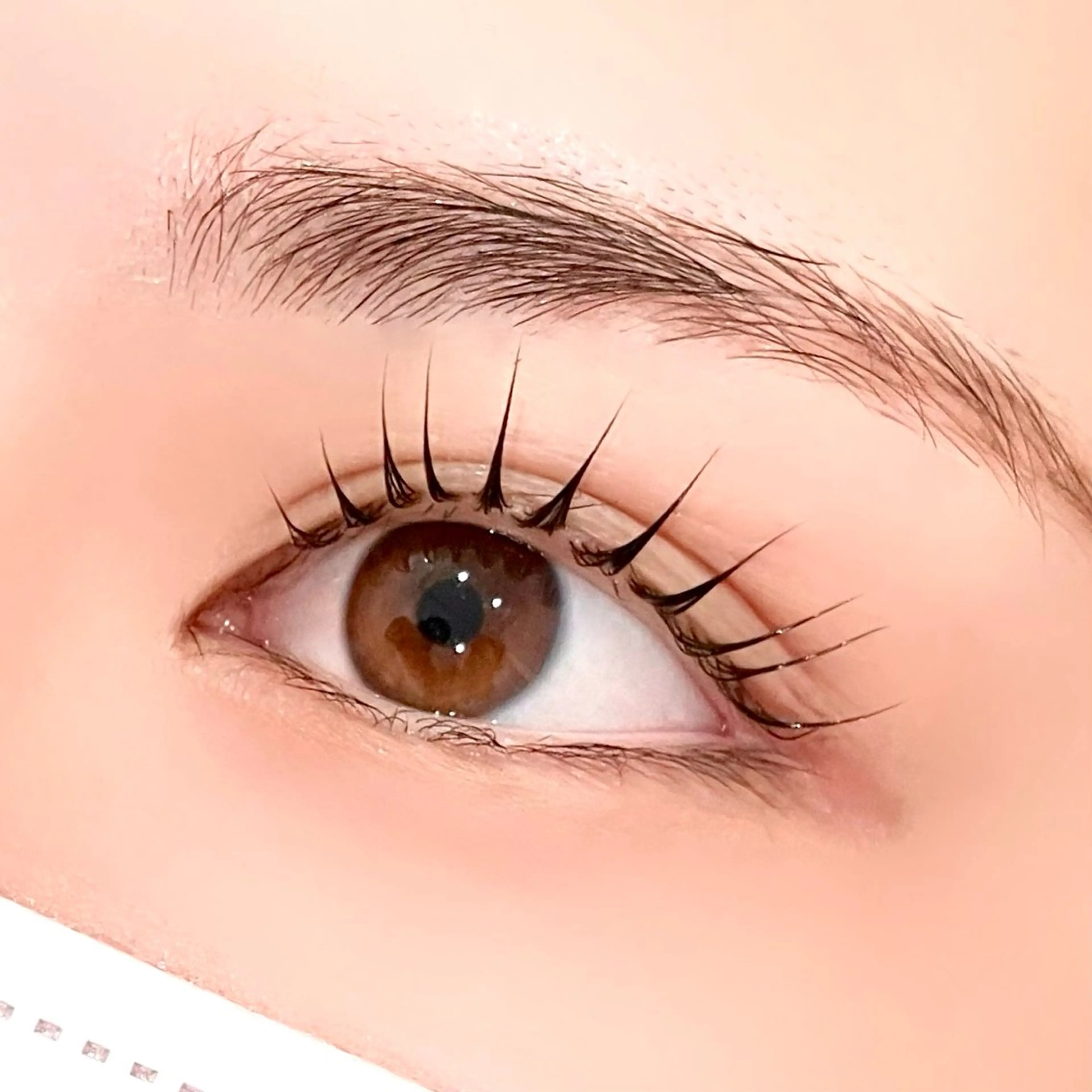 マツエク・マツパ 束感まつ毛 韓国風マツエク パリジェンヌラッシュリフト まつげパーマ 一重×まつ毛パーマ 束感まつげ｜ユキ 高評価｜堀江のマツエク・マツパデザイン