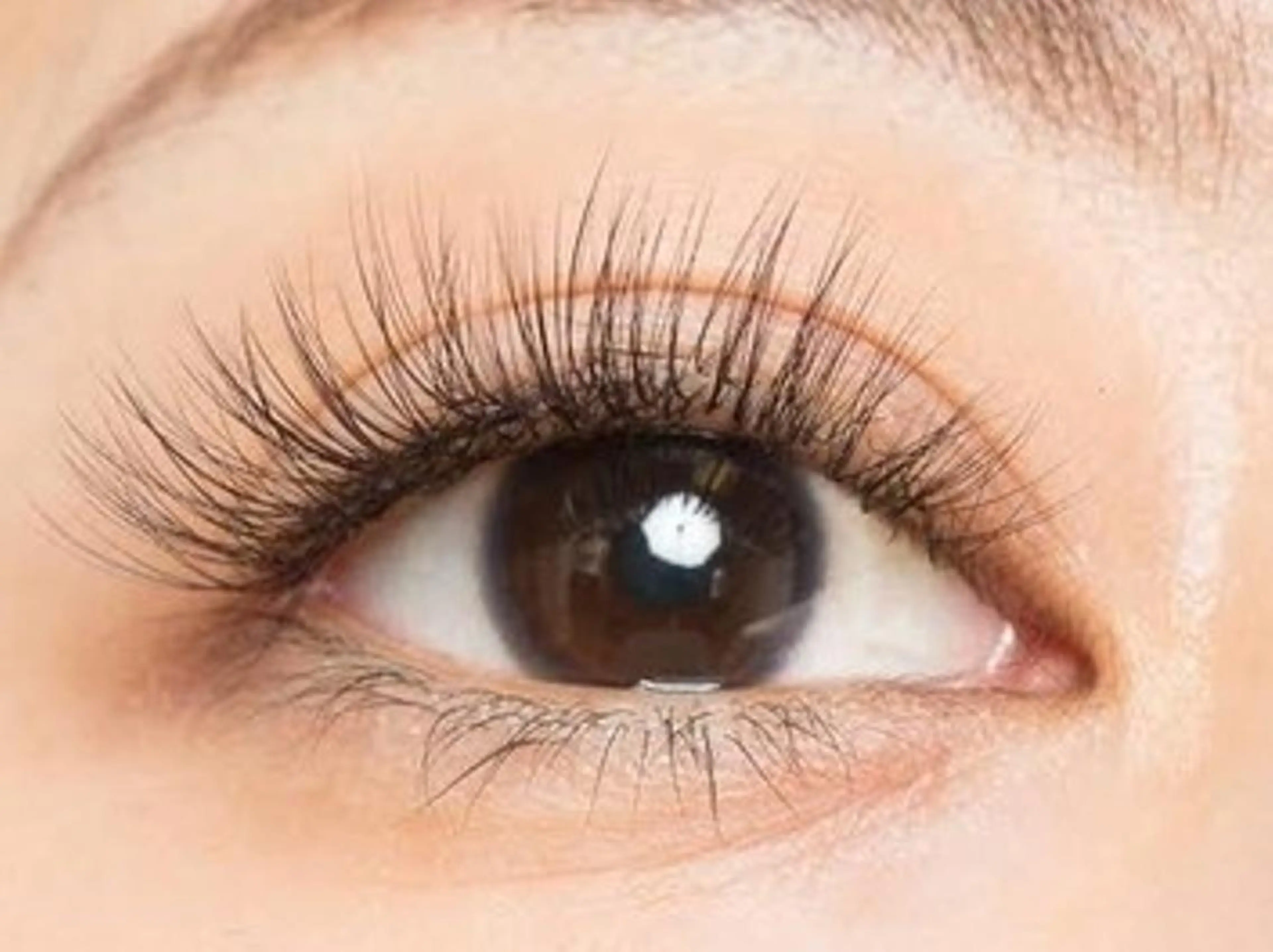 マツエク・マツパ 中野やまとなでしこ AYAの眉毛・アイブロウイメージ