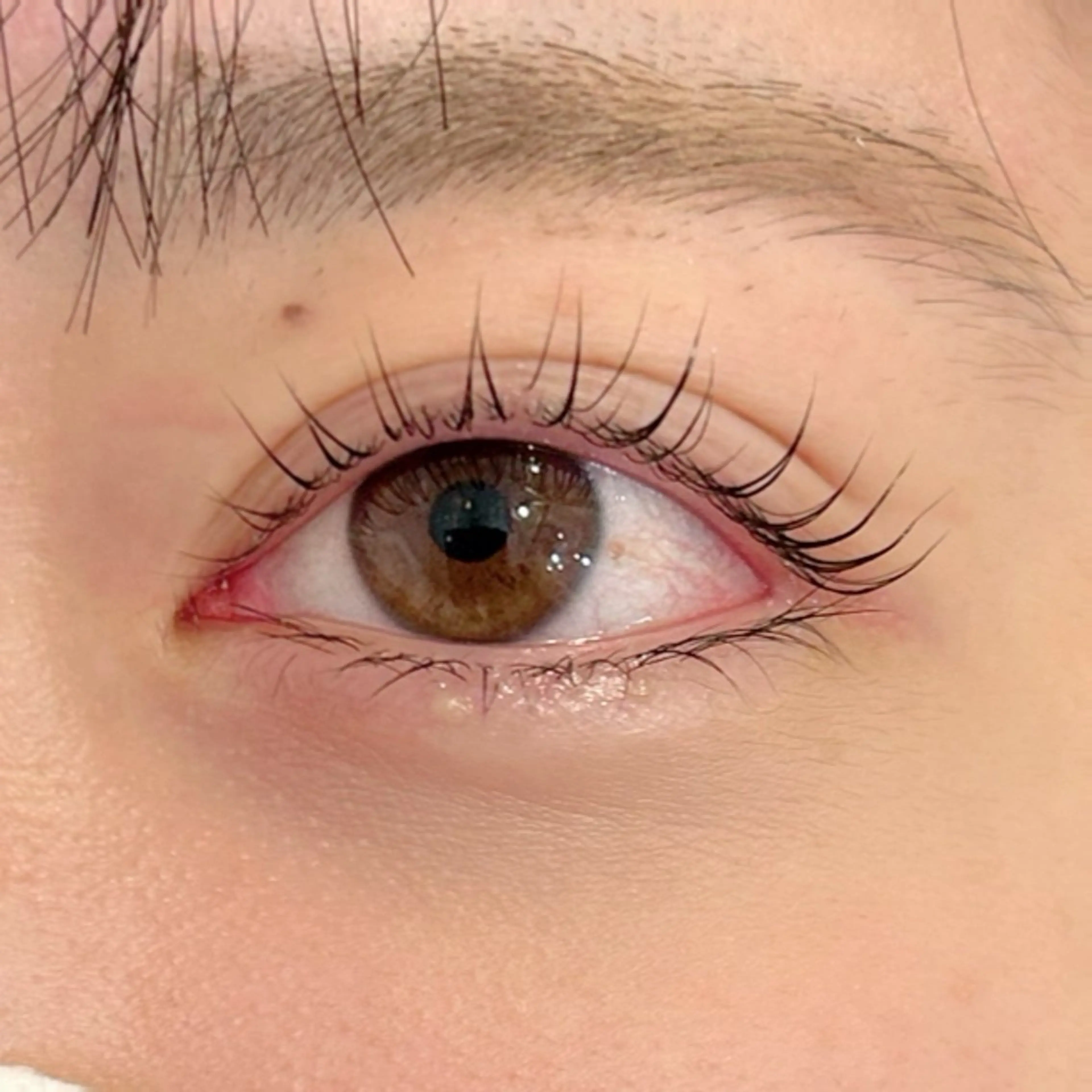 初回限定‼️ラッシュリフト トリートメント付き🎵ビューラーいらずのパッチリ目元へ☆の写真