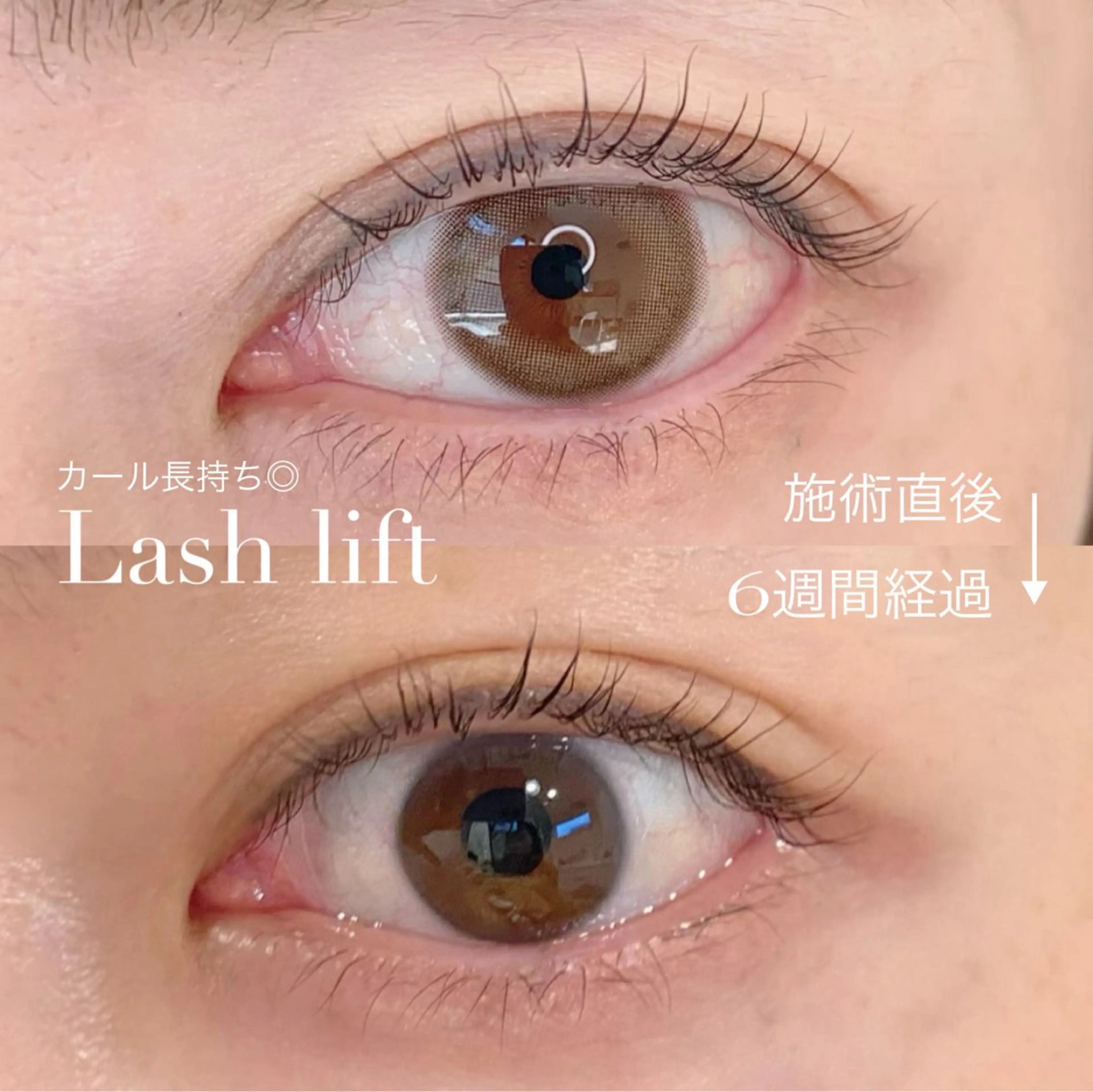 マツエク・マツパ ケラチンラッシュリフト Aimerlavie エメラヴィのマツエク・マツパデザイン