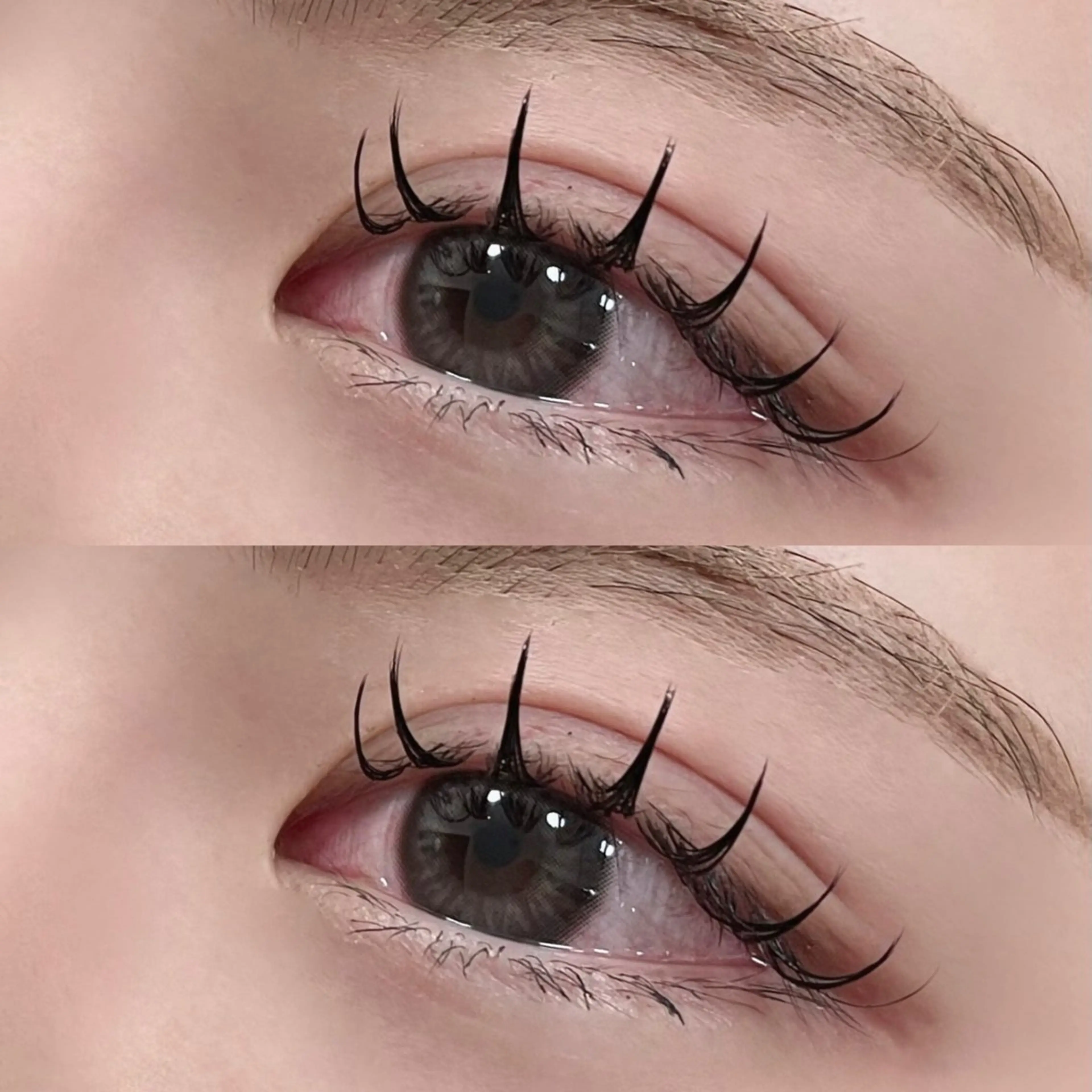 【ご新規様】フラットラッシュ80、100、120本🍒（初回ｵﾌ込）の写真