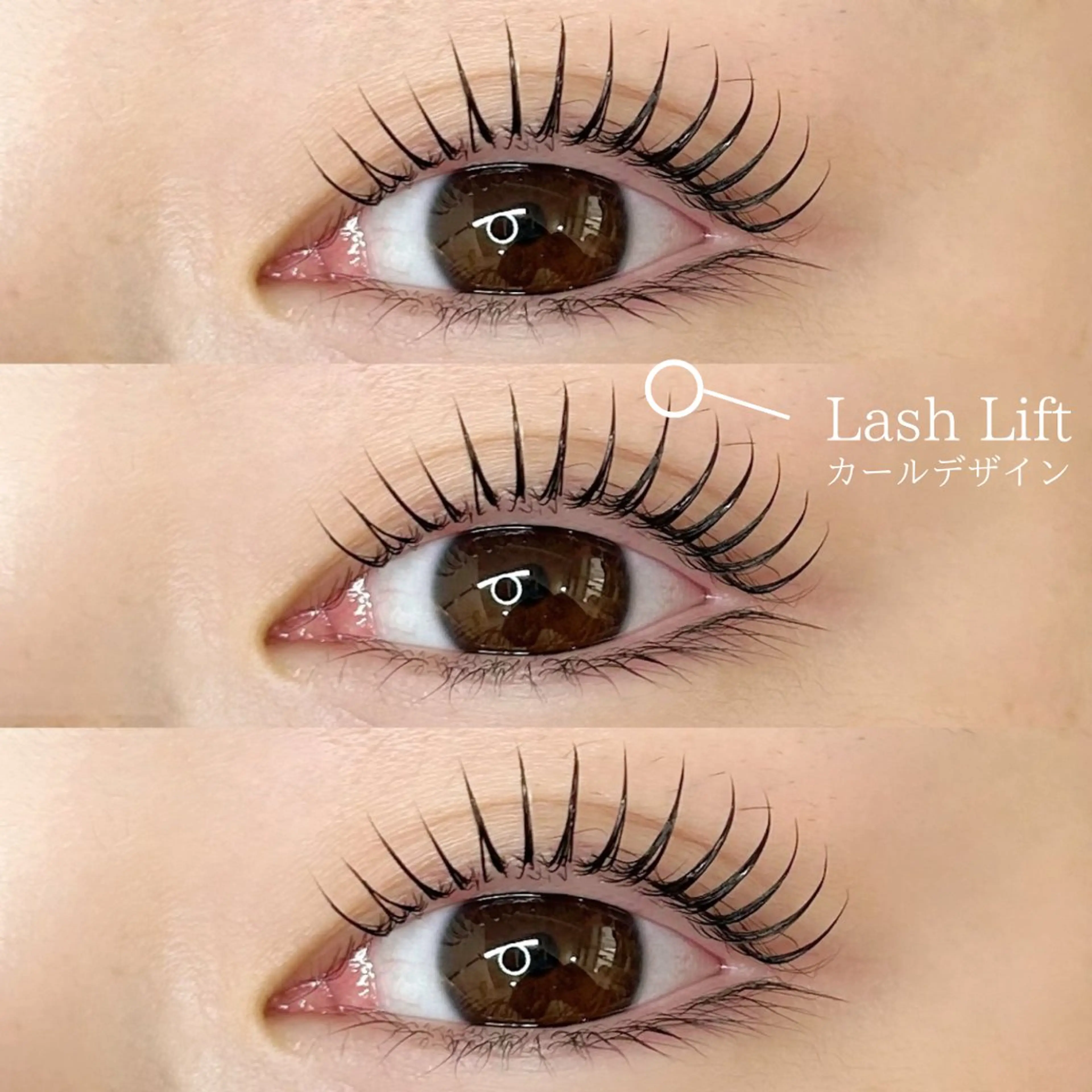 マツエク・マツパ REBOND K モデル募集のマツエク・マツパデザイン