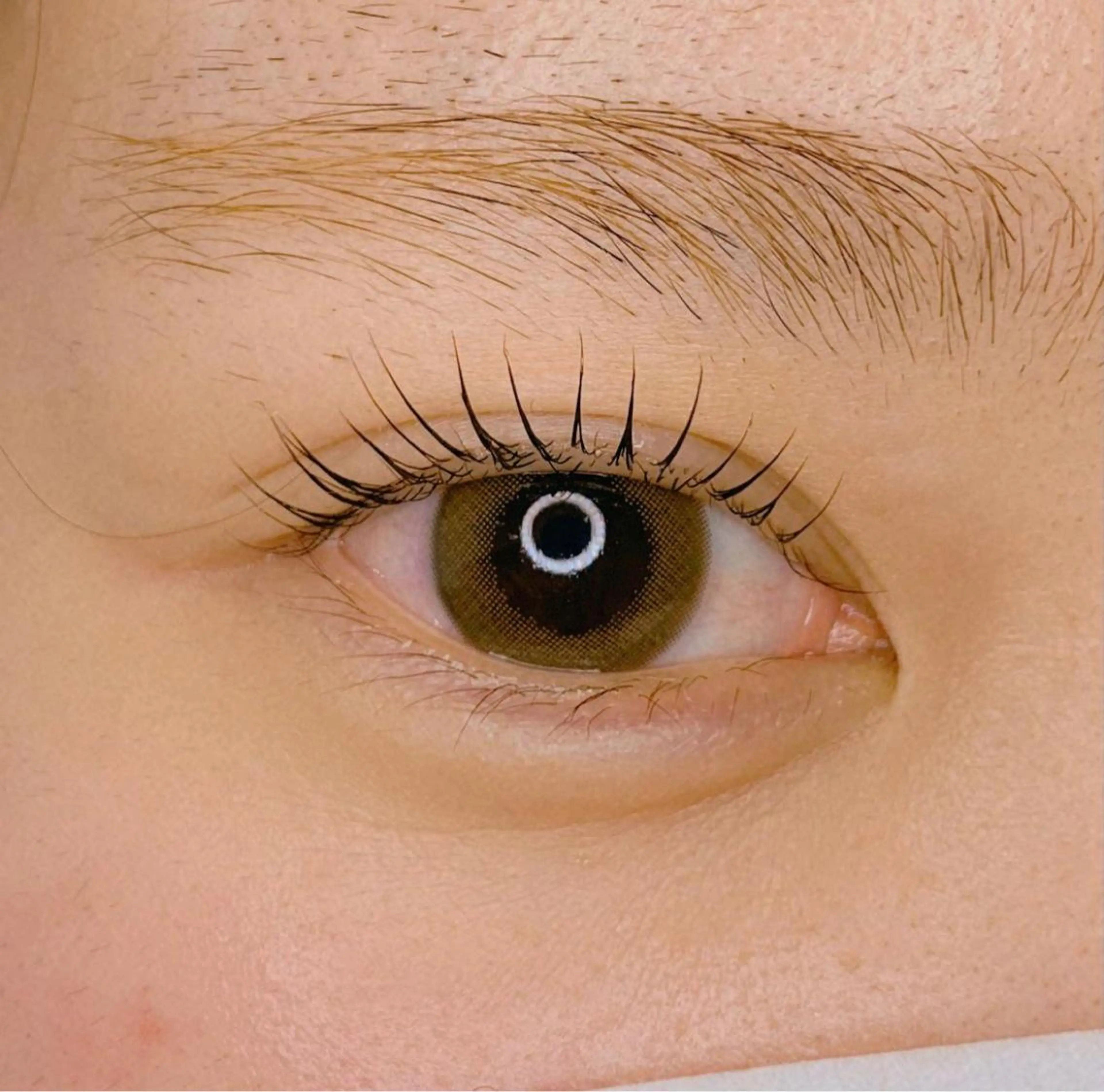 マツエク・マツパ パリジェンヌラッシュリフト Celeste Venus所属・🧸Celeste Venusのマツエク・マツパデザイン