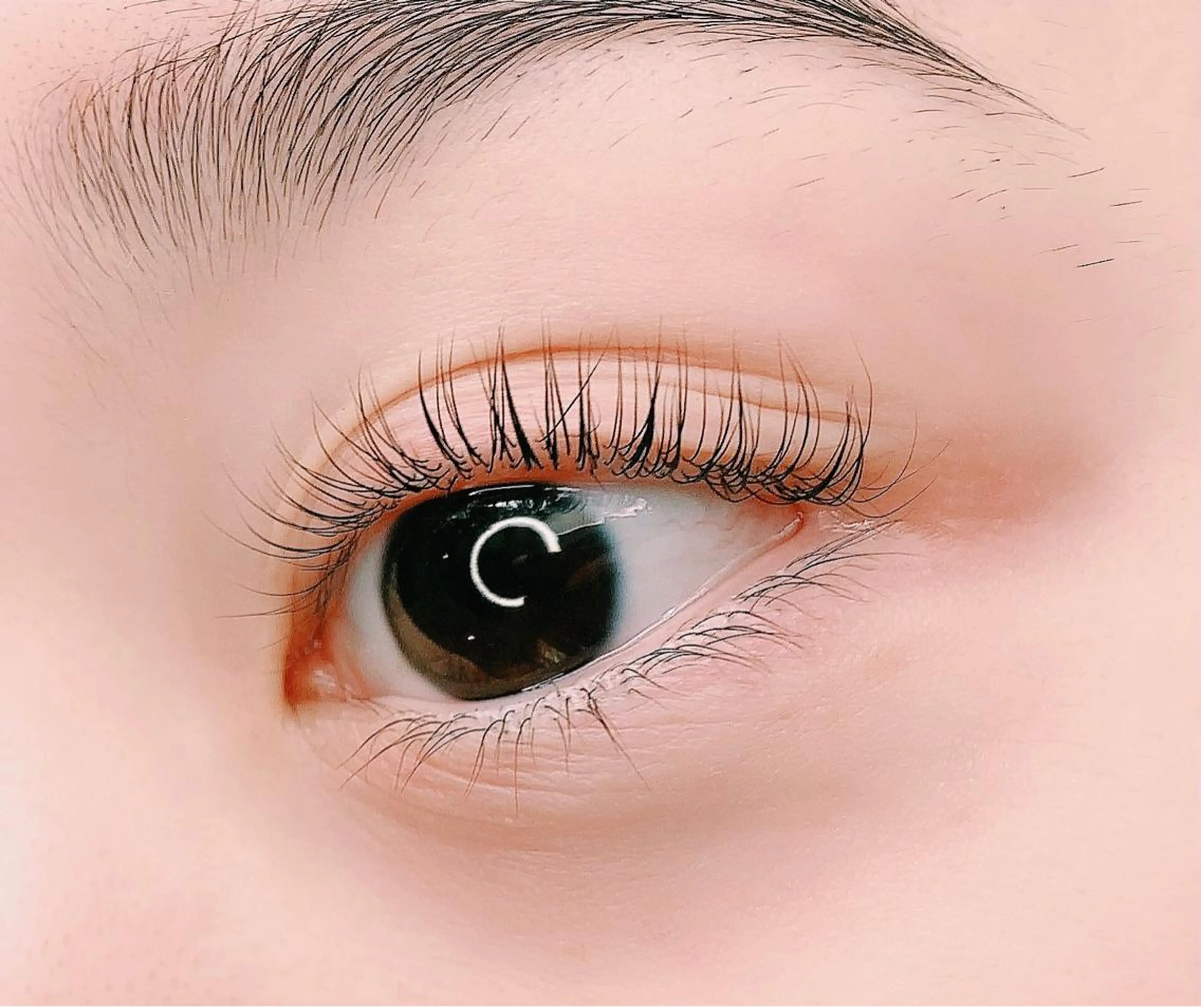 似合わせくるっとまつ毛パーマ🐻❄️オフ込み美容成分配合コーティング仕上げの写真