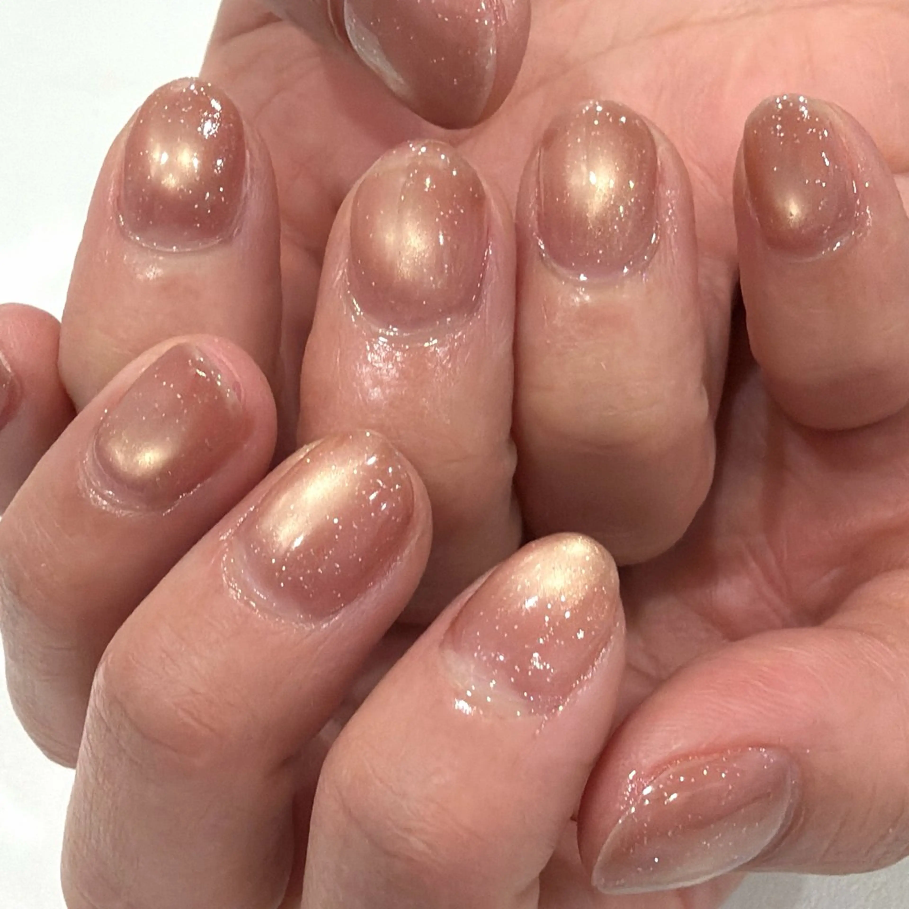 【ｵﾌなし】マグネットの写真