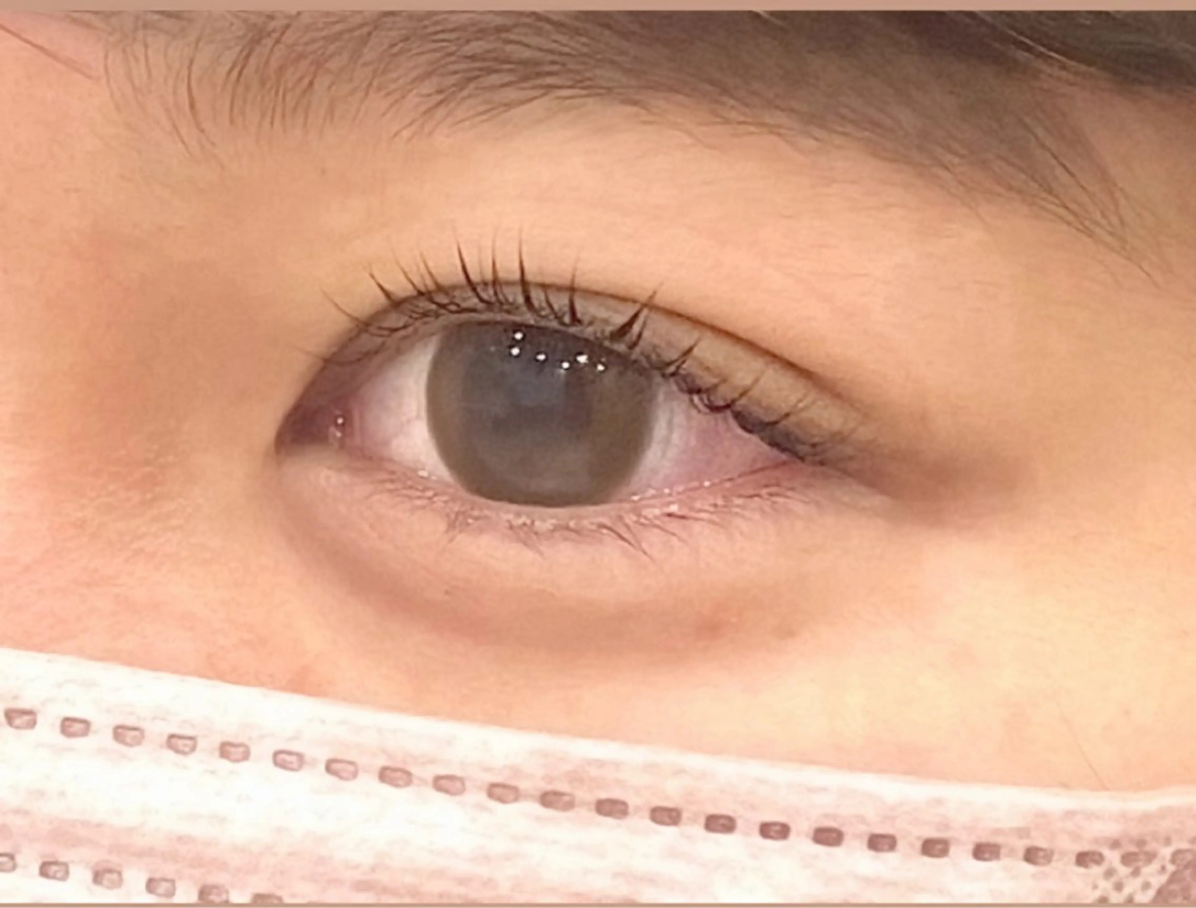 🎀まつげパーマ🎀(再来＋300円)の写真