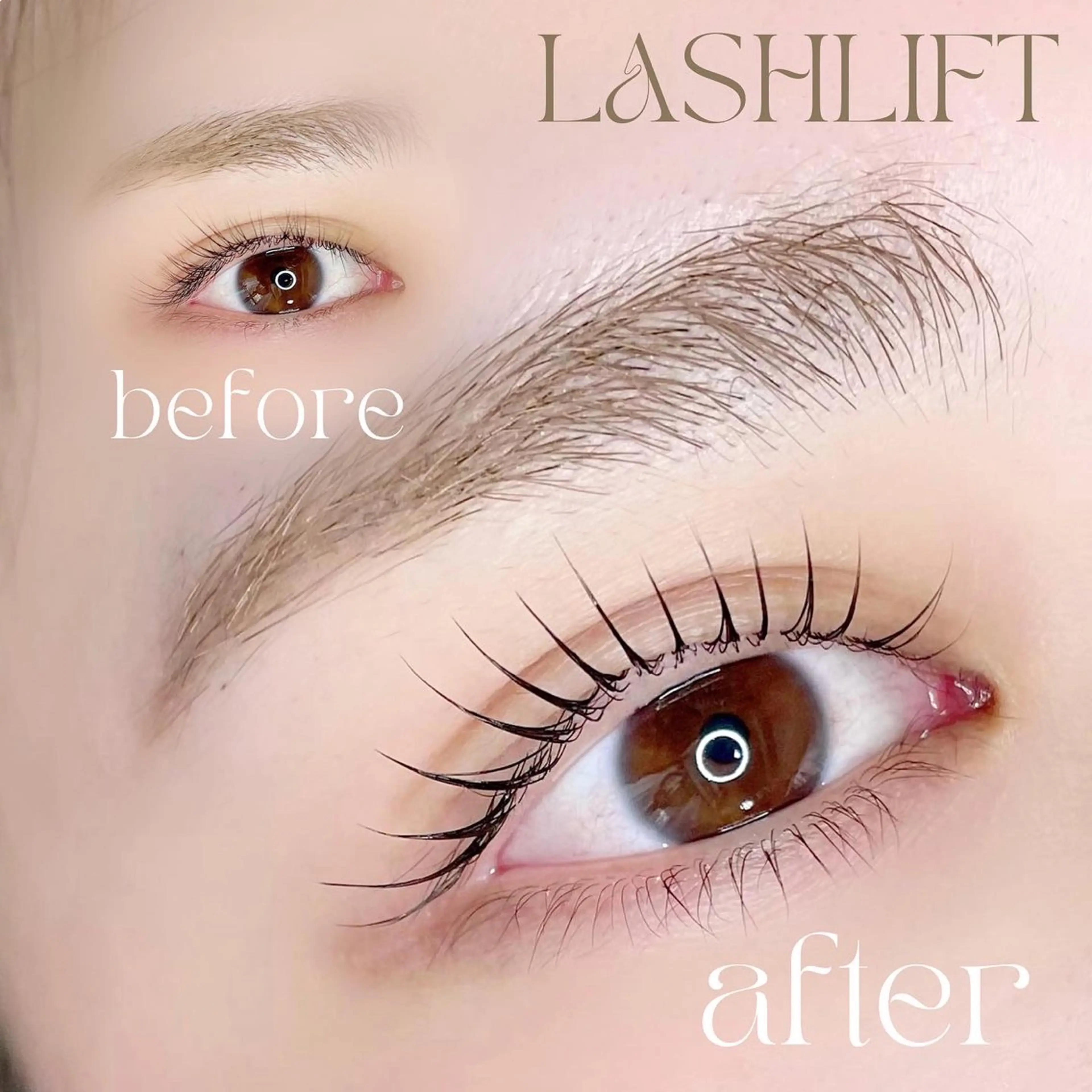 【ご新規様】ラッシュリフト上(まつ毛パーマ)の写真