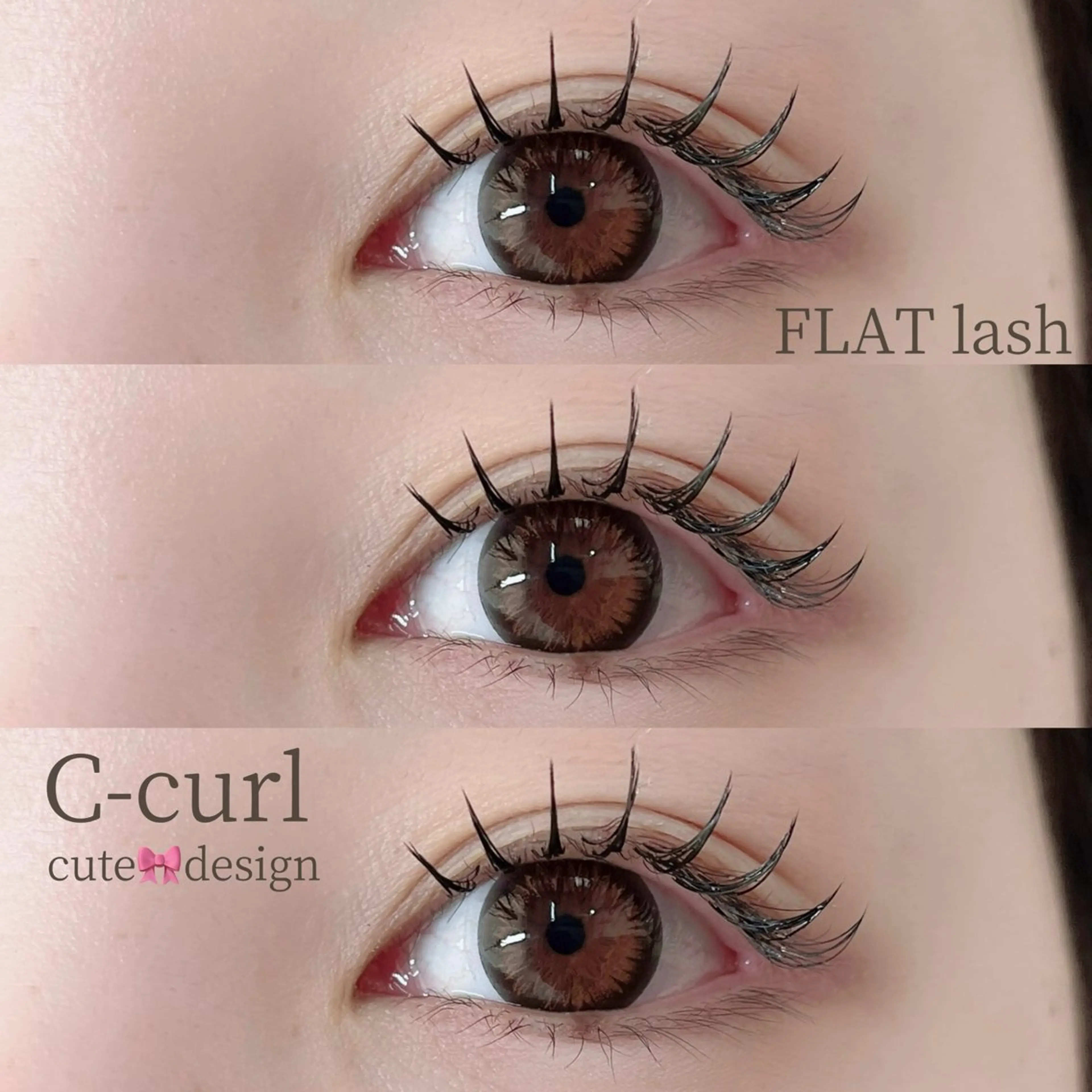 オフなし🌟LED 【マツエク】韓国束感セーブル/フラットラッシュ100本 🌟付け足し🆗の写真