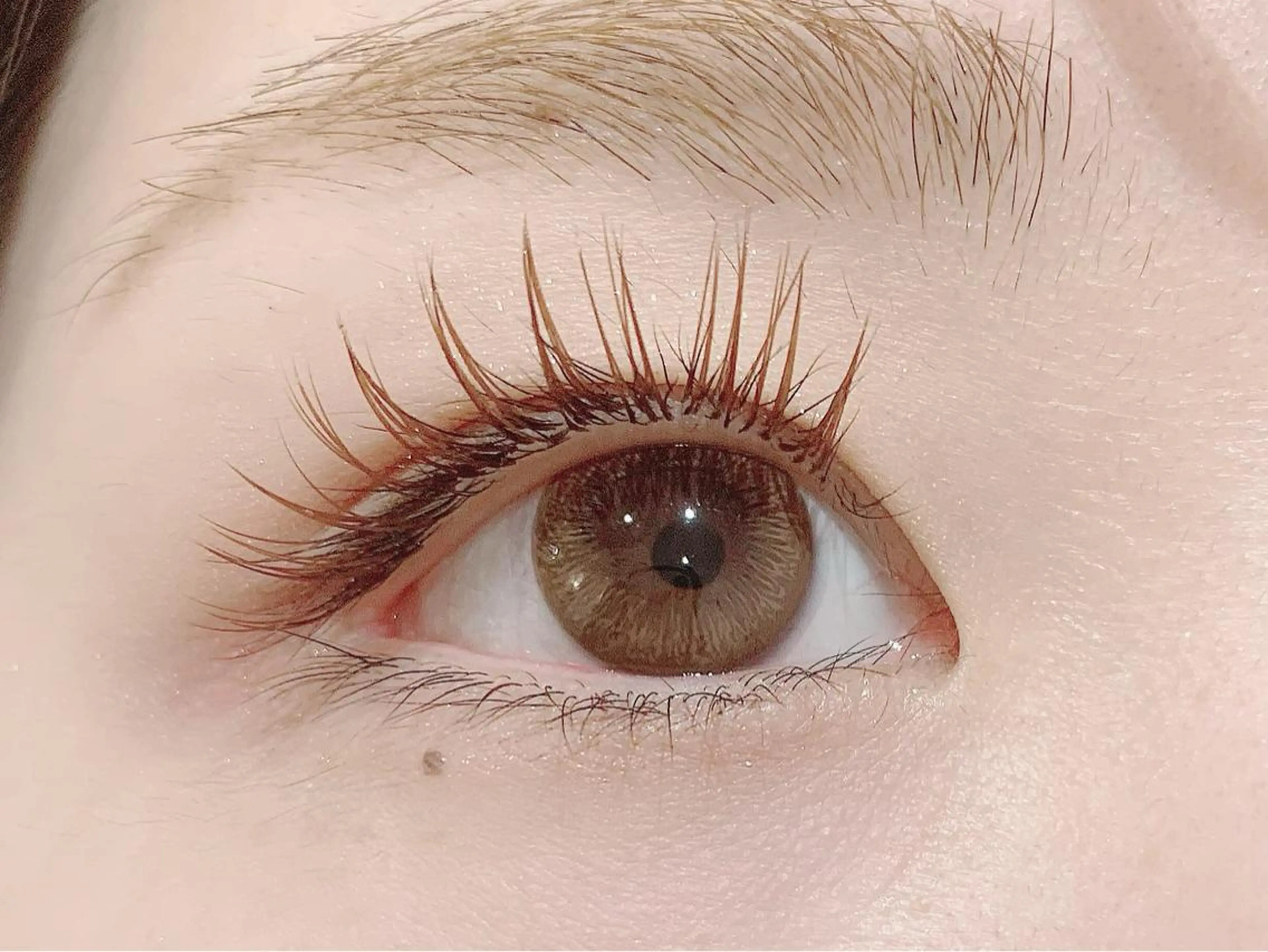 マツエク・マツパ Cカール カラーマツエク Jカール 目尻長め Laurel eye ローレルのマツエク・マツパデザイン