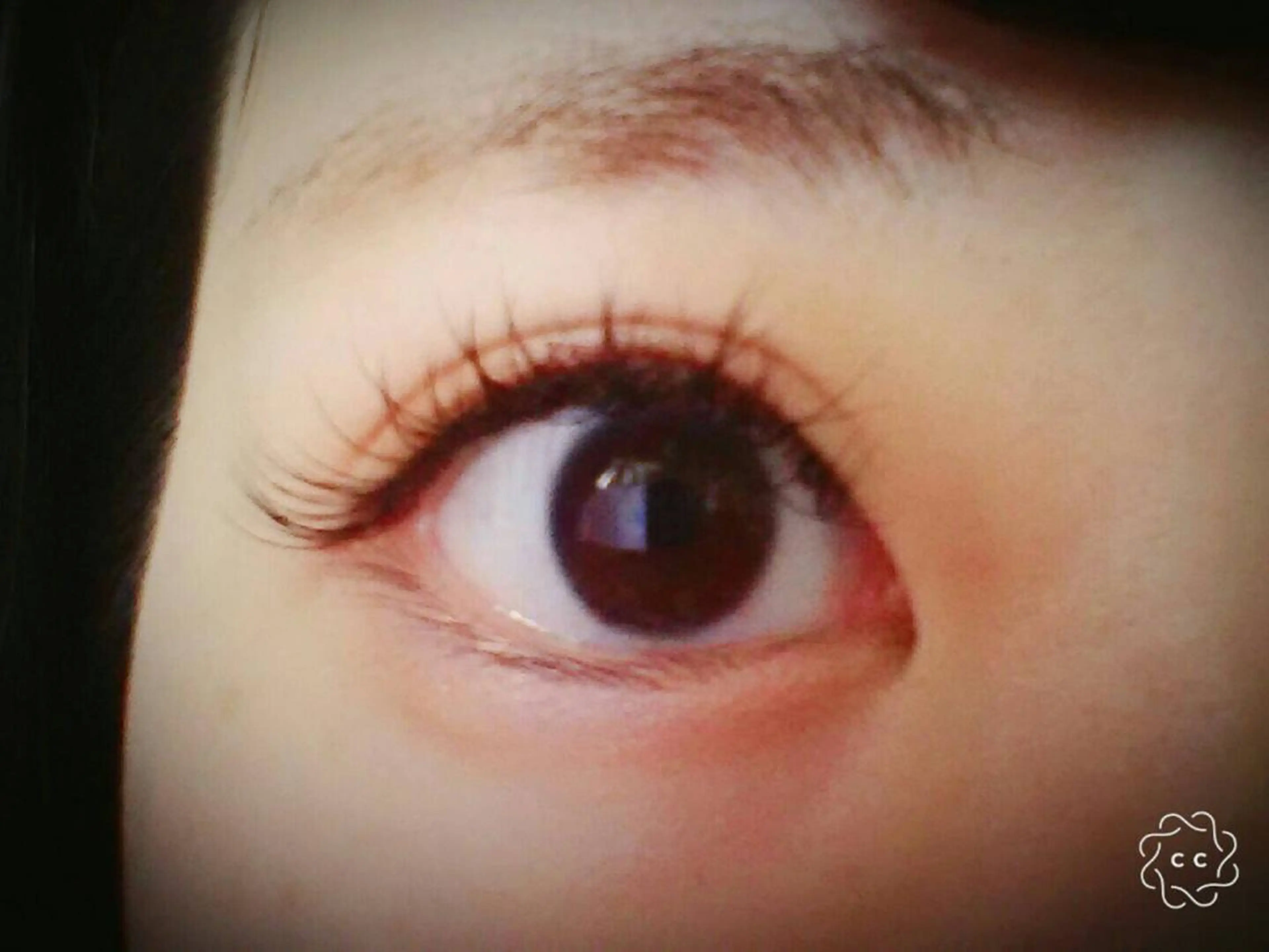 マツエク・マツパ 🌼 momoの眉毛・アイブロウイメージ