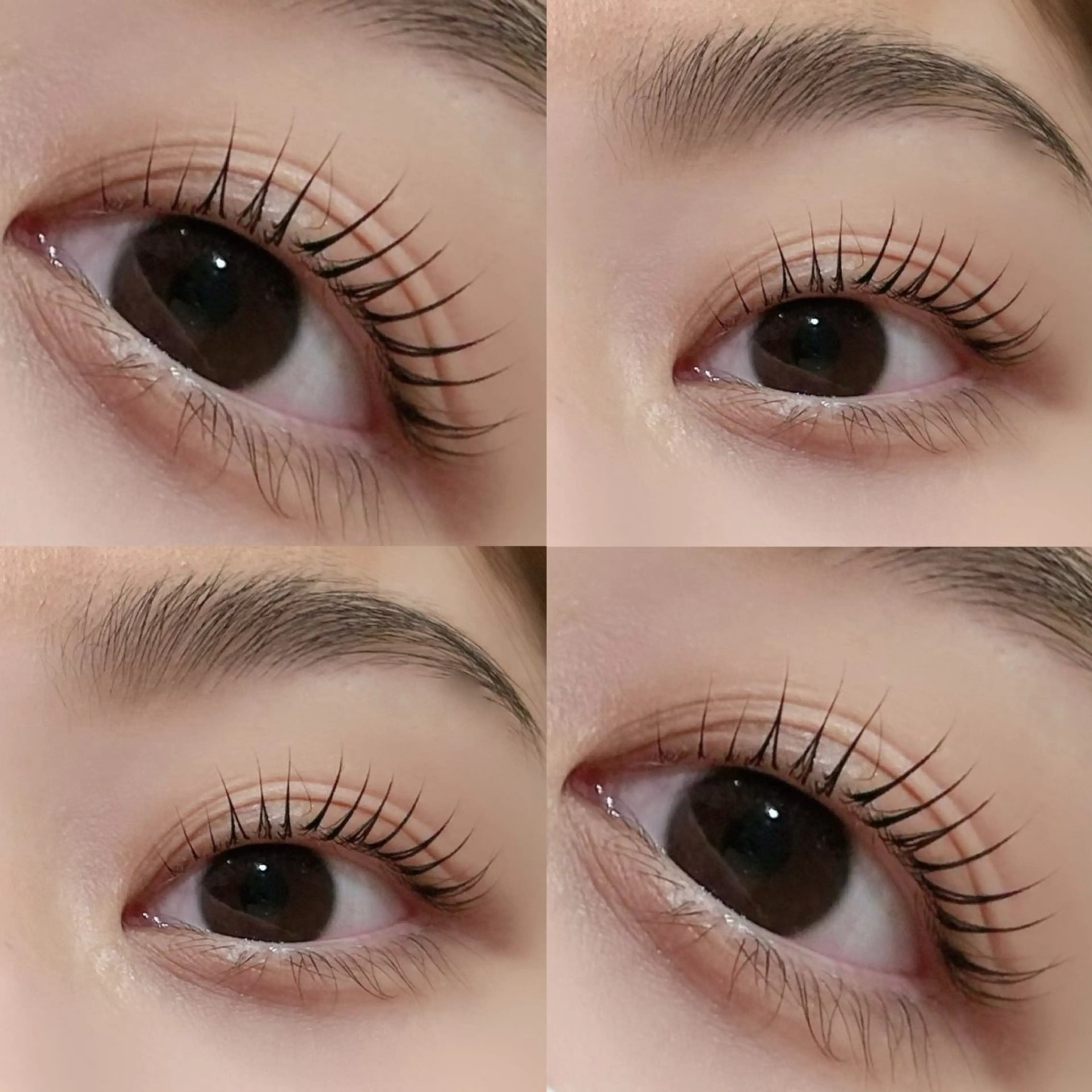 マツエク・マツパ マツパ まつエク/まつパ /カラー/Misaのマツエク・マツパデザイン