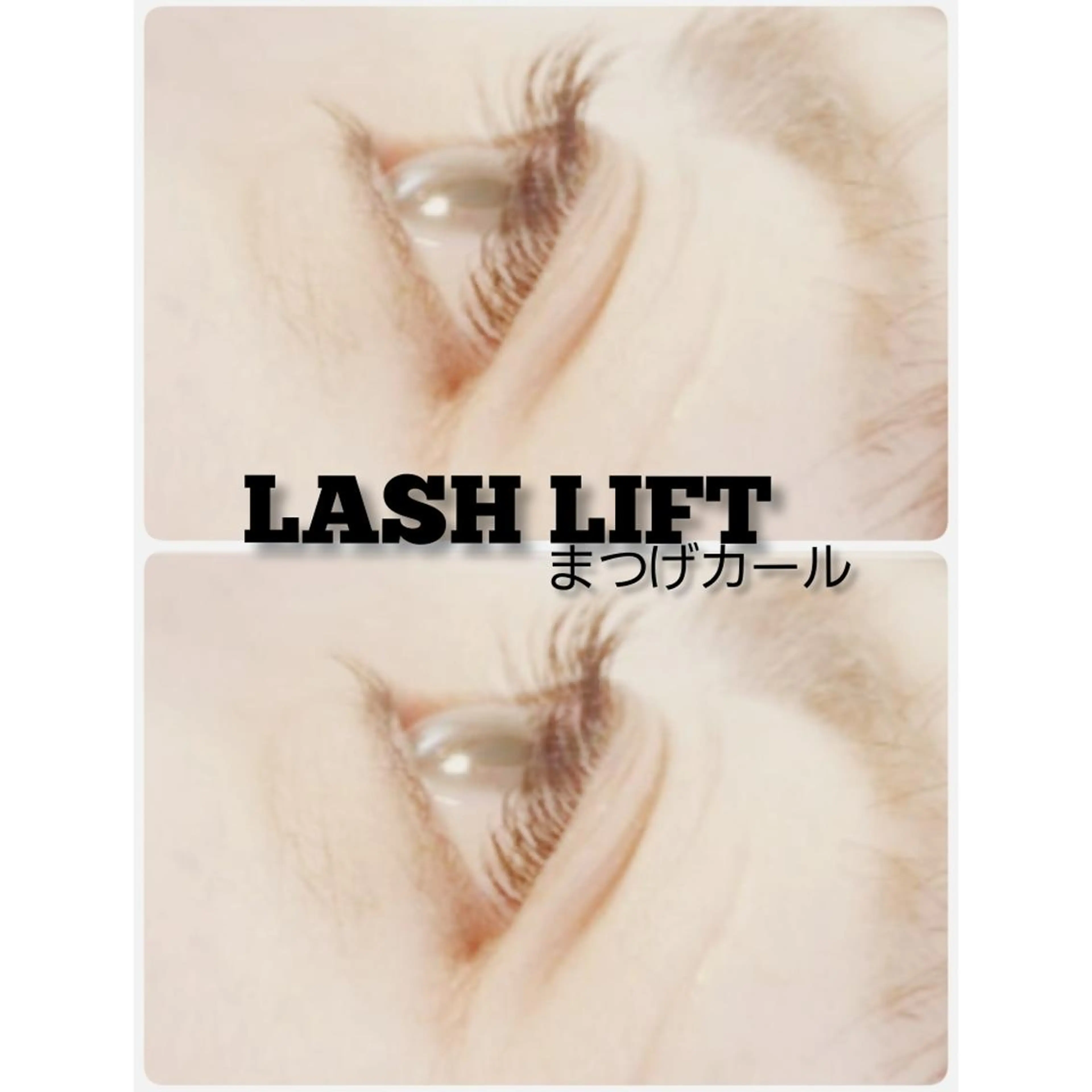 マツエク・マツパ ナチュラル 【Mola.】 eyelashのマツエク・マツパデザイン