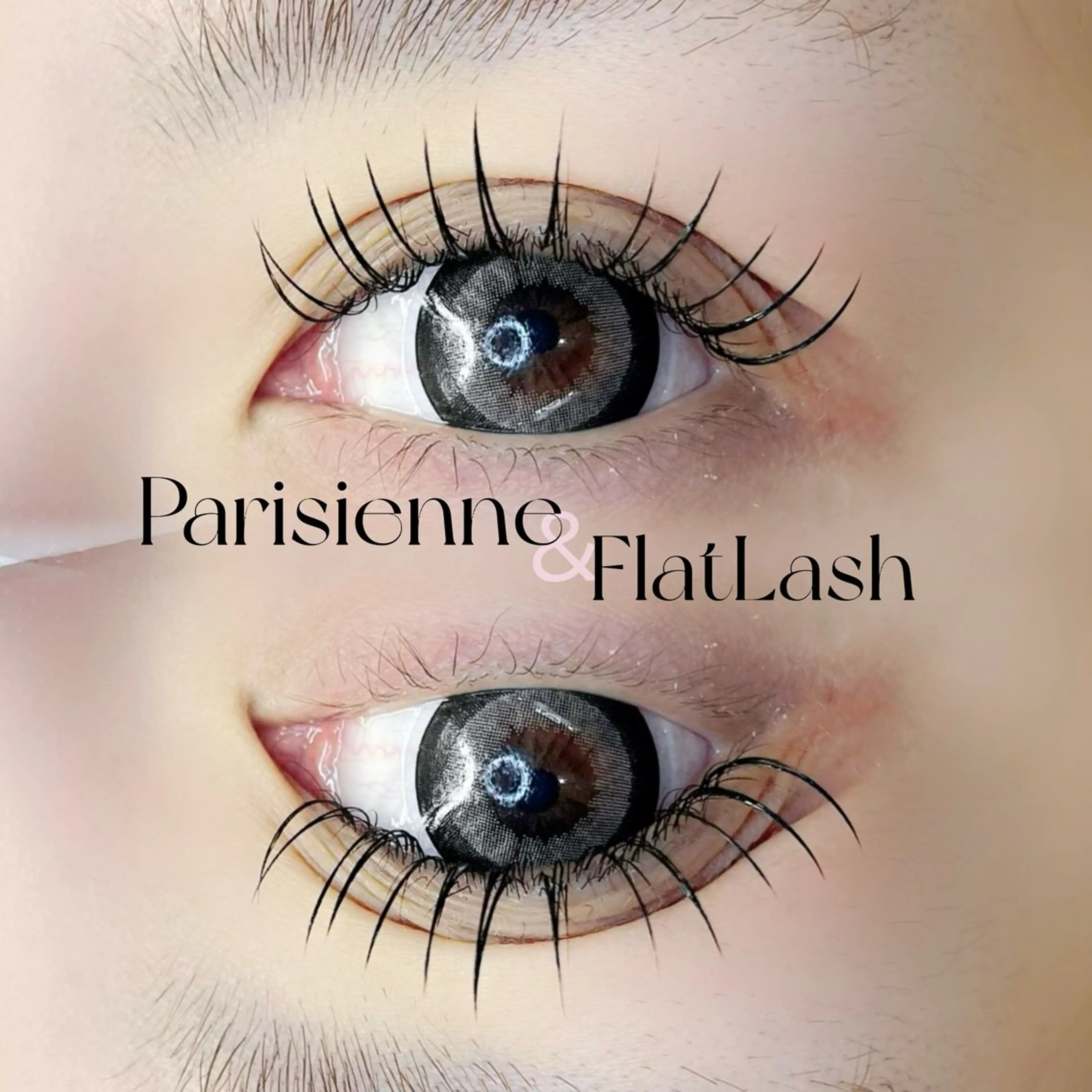 ãããšã¯ã»ããã ãããšã¯ IKUMI ãð®ð¥ð®ãã®ãããšã¯ã»ããããã¶ã€ã³