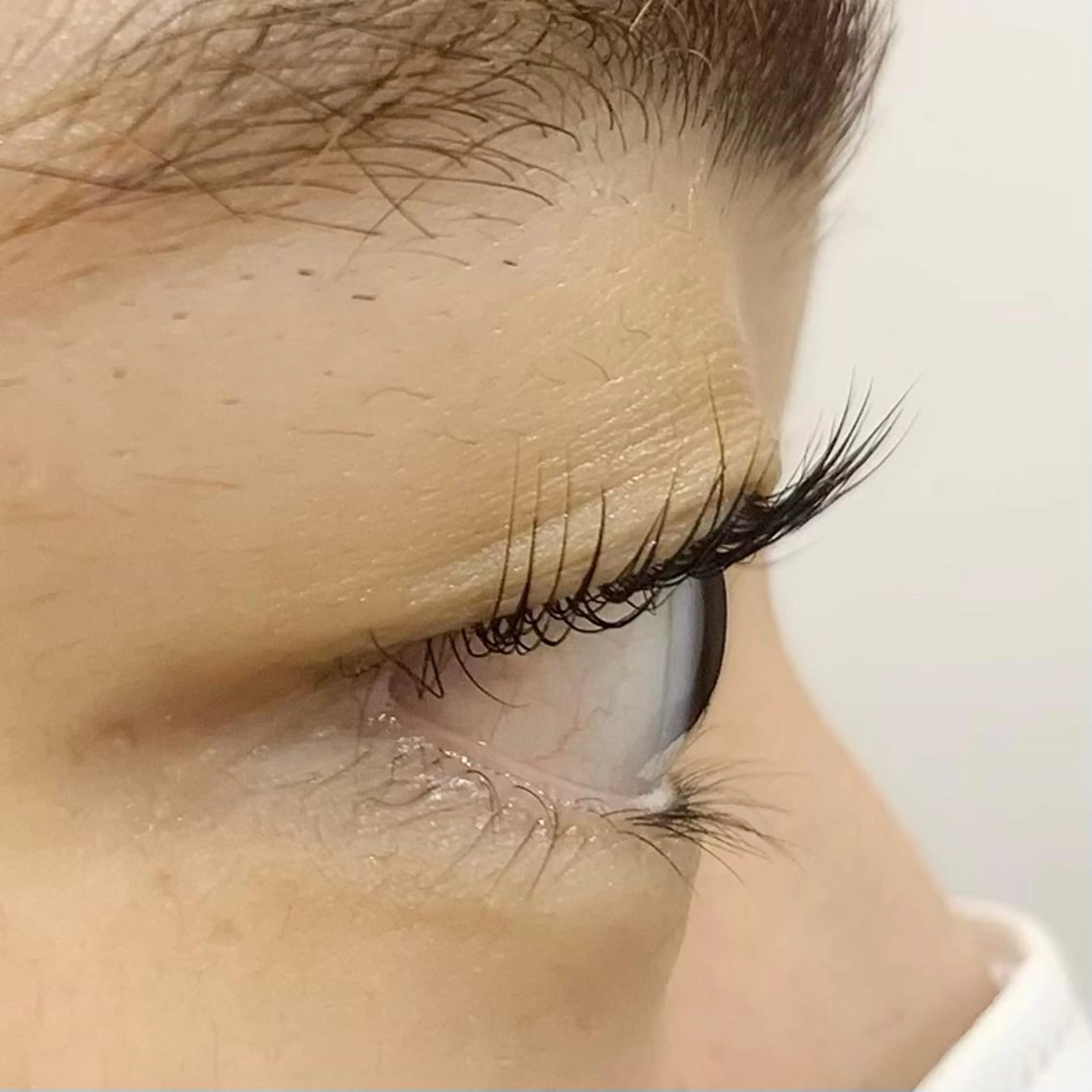 マツエク・マツパ パリジェンヌラッシュリフト 🧸Celeste Venusのマツエク・マツパデザイン