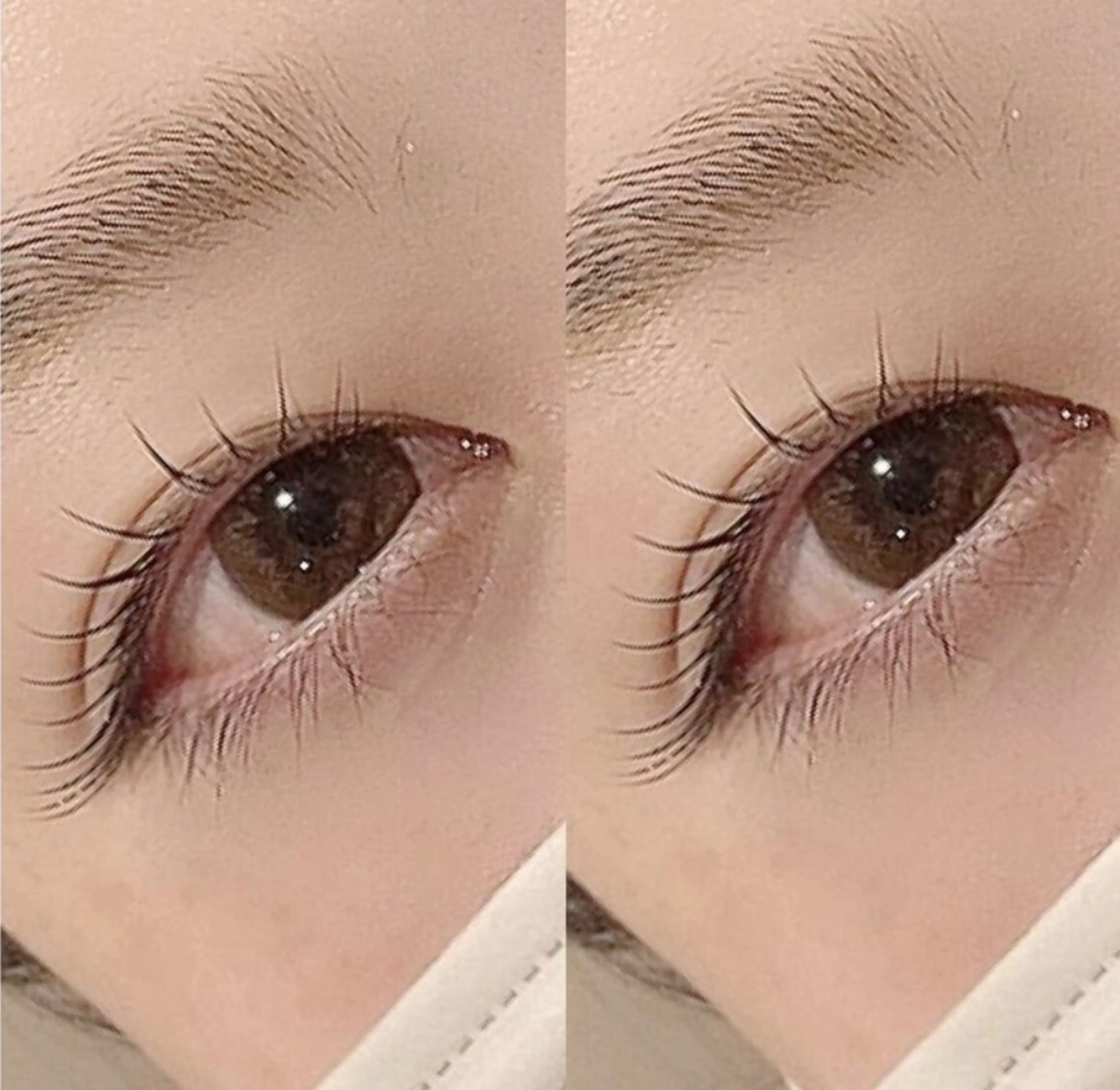 《人気No.3》ご新規様限定！次世代まつ毛パーマ”ラッシュリフトの写真