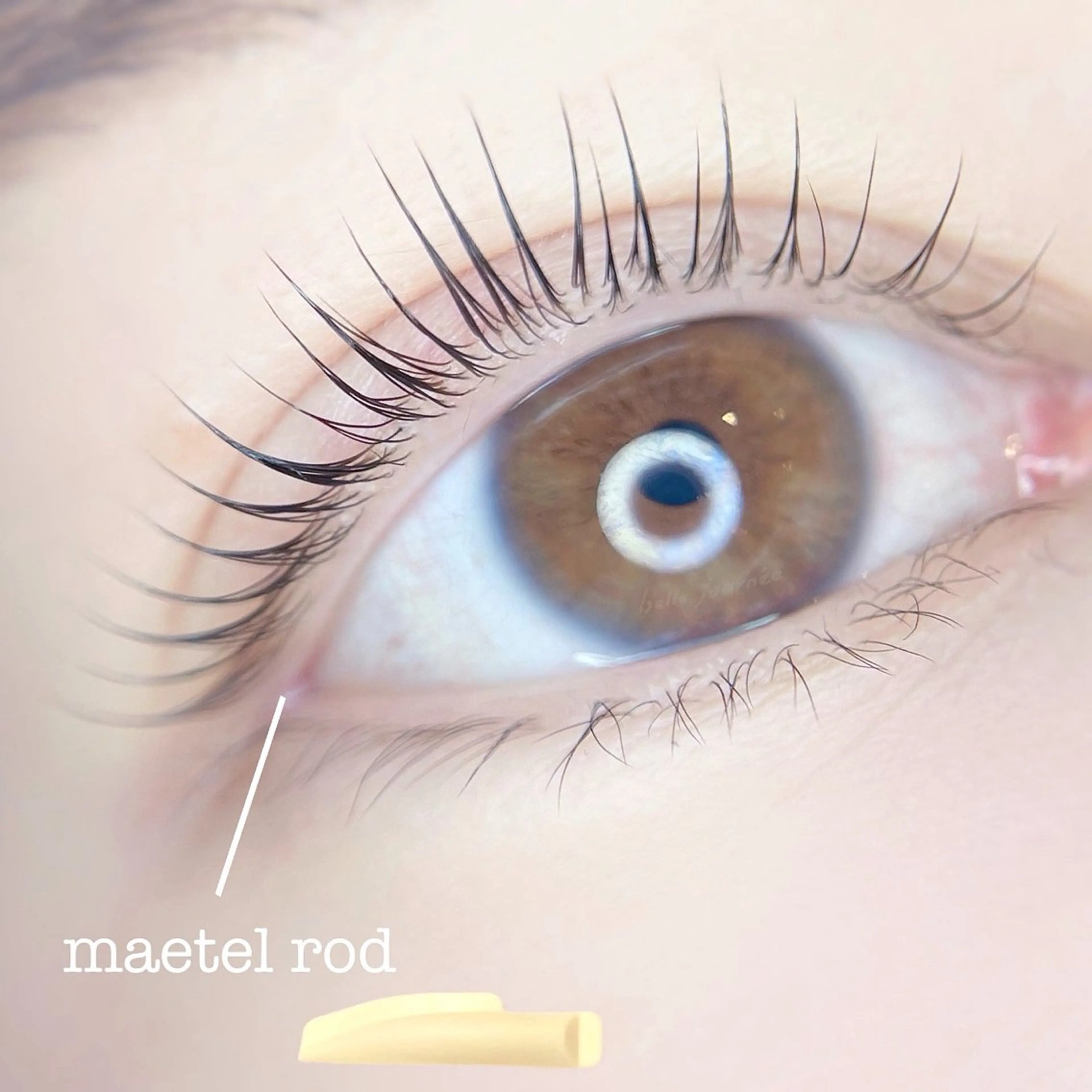 マツエク・マツパ マツパ 🍨 okabe mio 🍨のマツエク・マツパデザイン