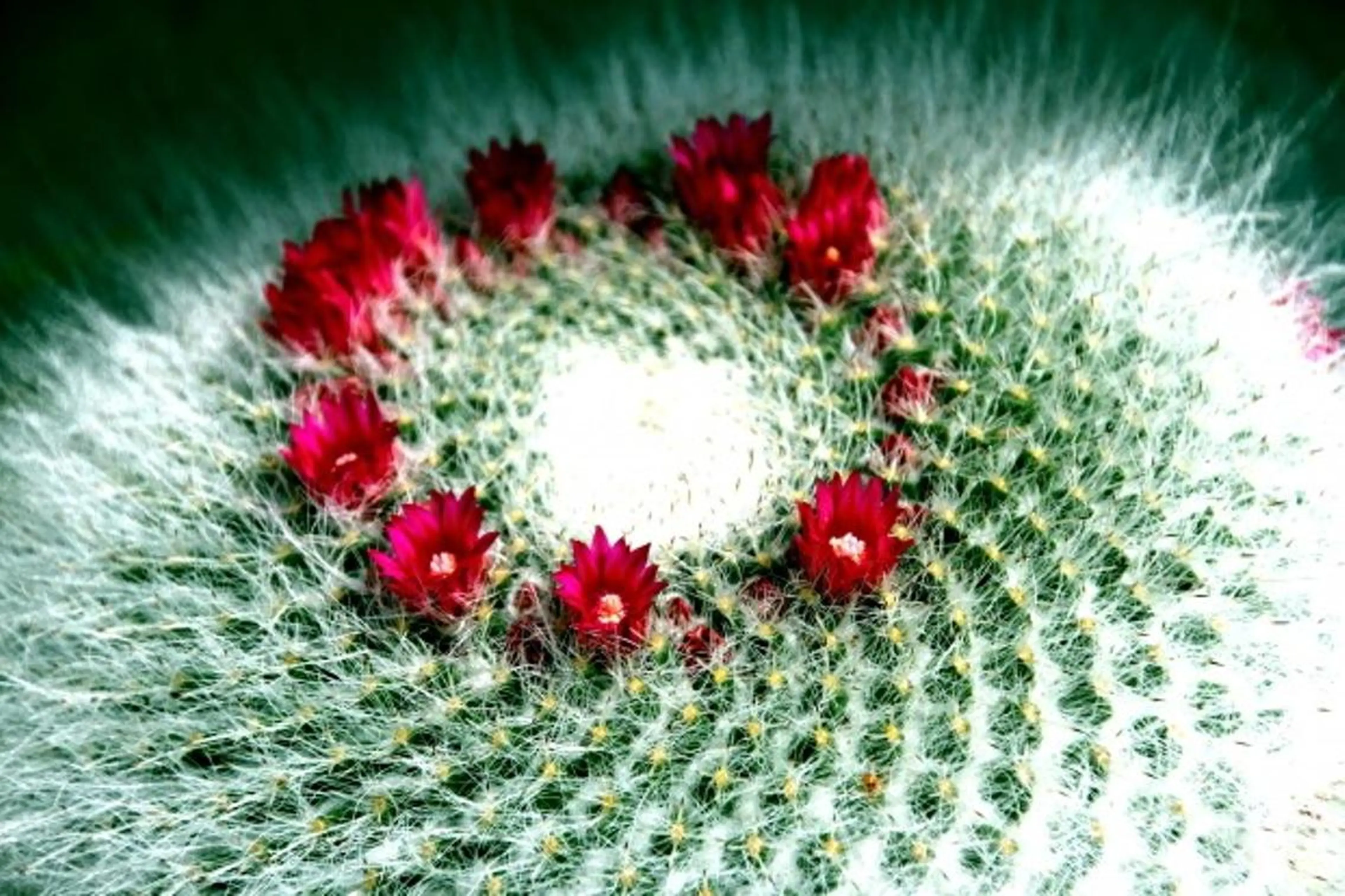 セントラル鍼灸院 Re:laxyのヘアスタイル