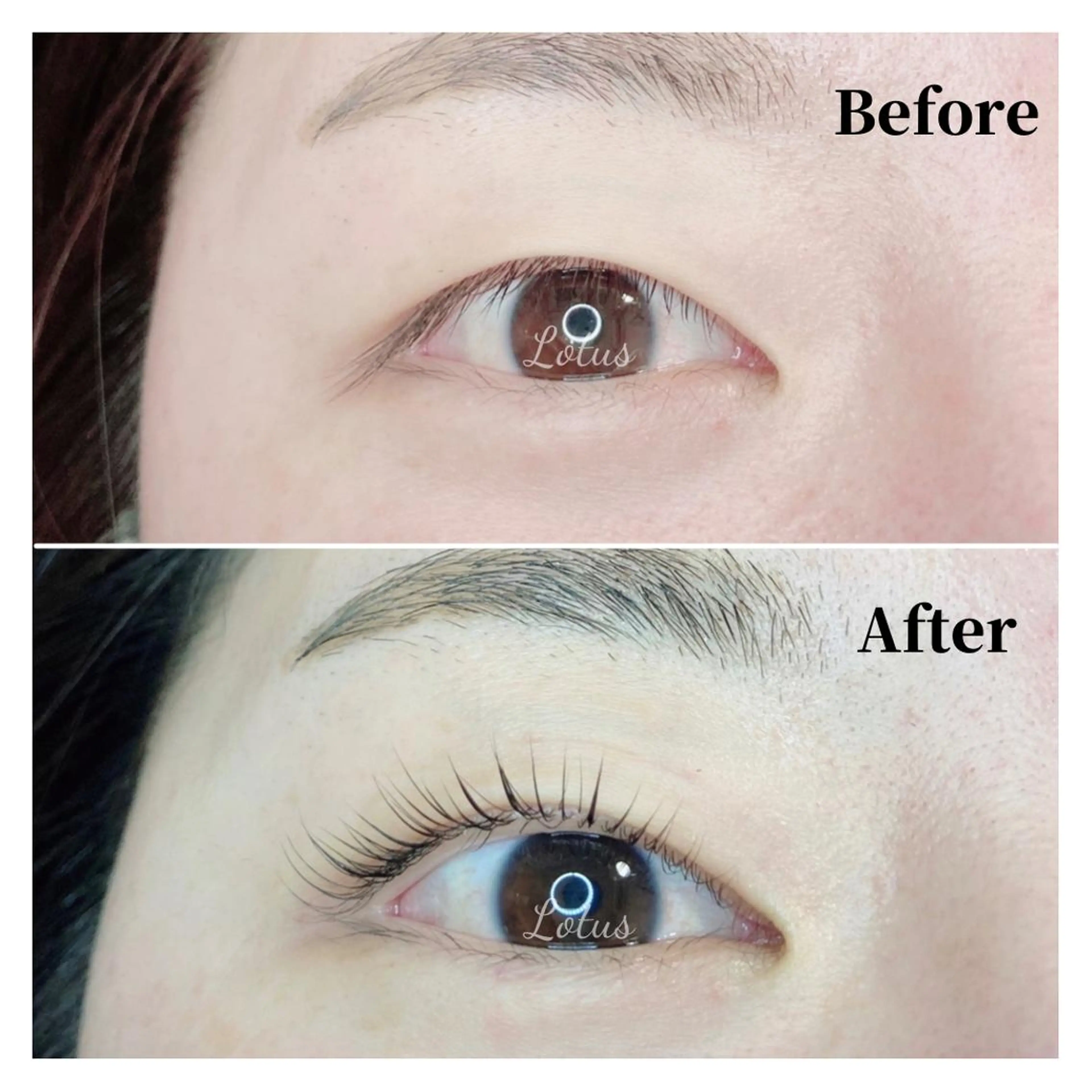 マツエク・マツパ マツパ Lotus所属・Lotus ロータスのマツエク・マツパデザイン