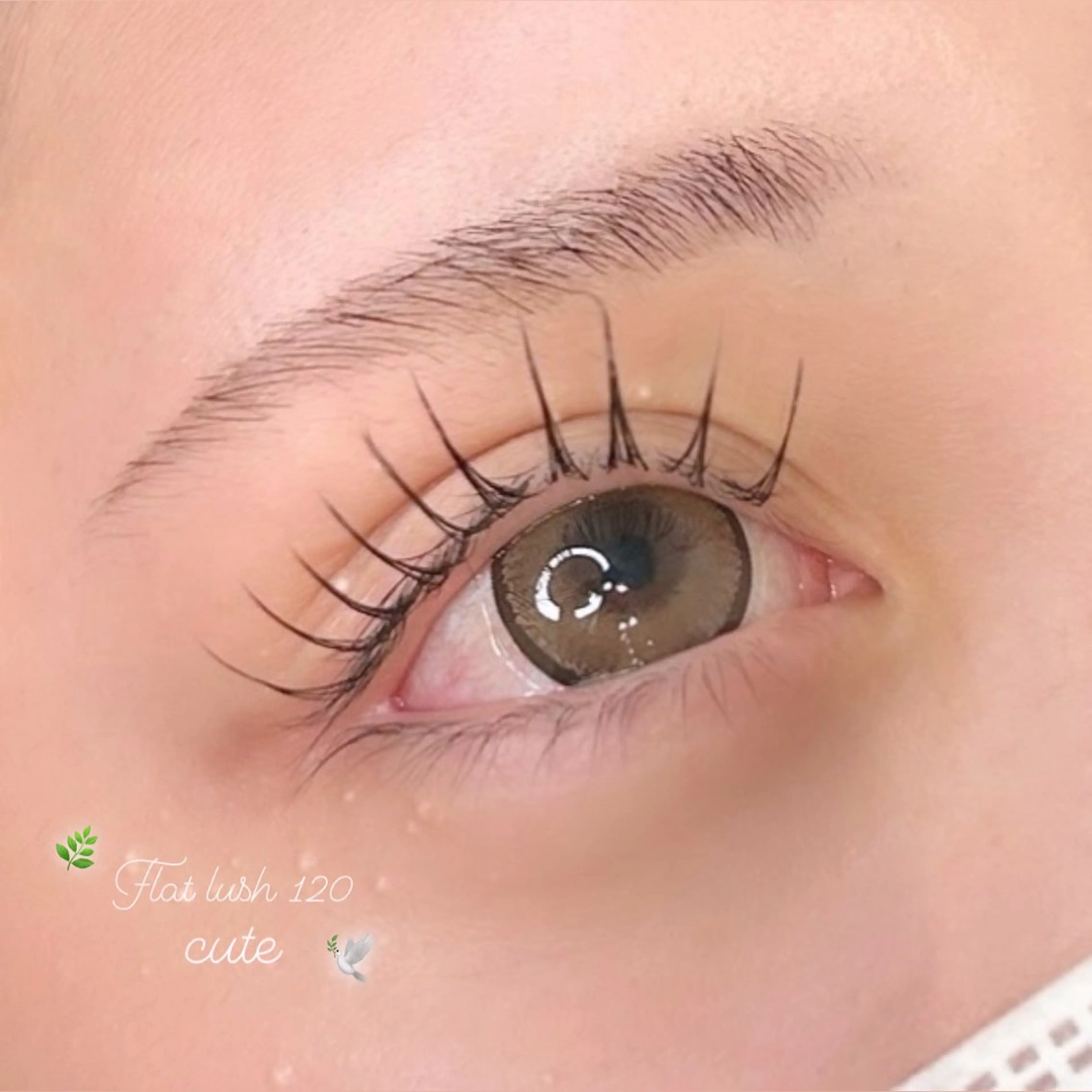 マツエク・マツパ マツエク chacha bla nc Amie 沖田のマツエク・マツパデザイン