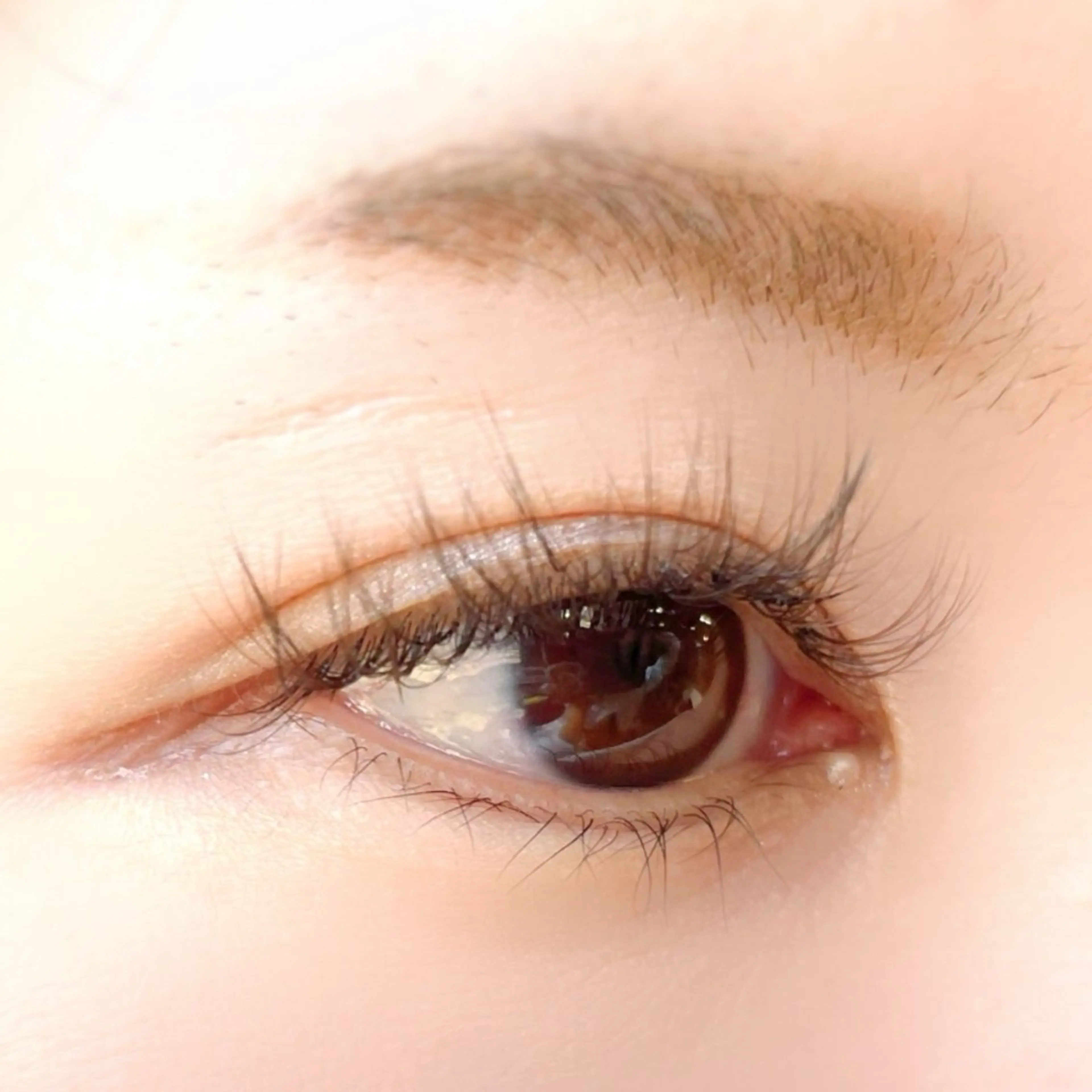 マツエク・マツパ カラーマツエク Dカール ボリュームラッシュ お客様専用 🤍のマツエク・マツパデザイン