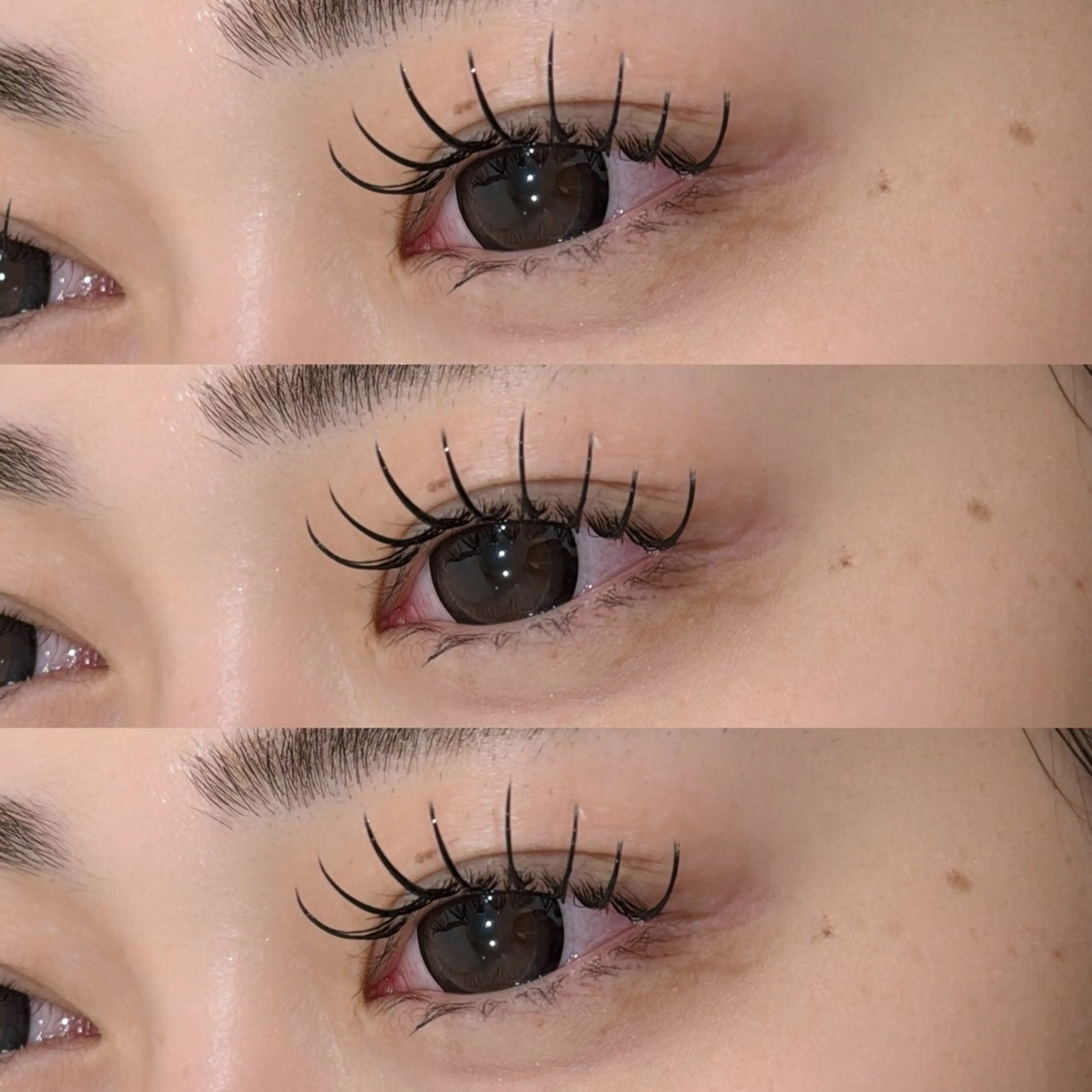 【初めてのご来店の方】💎もち抜群✨フラットラッシュ140本まで💎オフ＆コーティング付き♡の写真