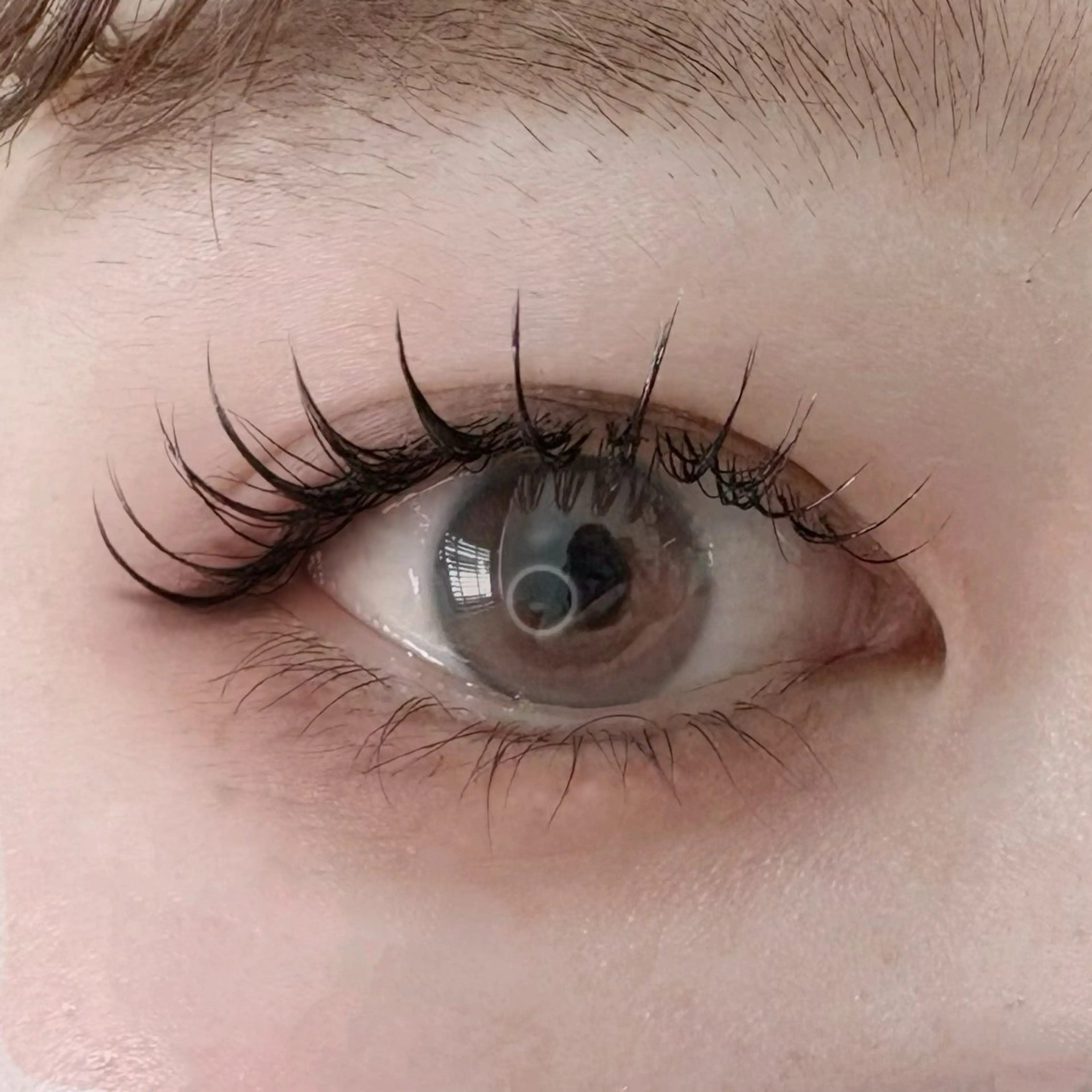 マツエクモデル 120本🎀の写真